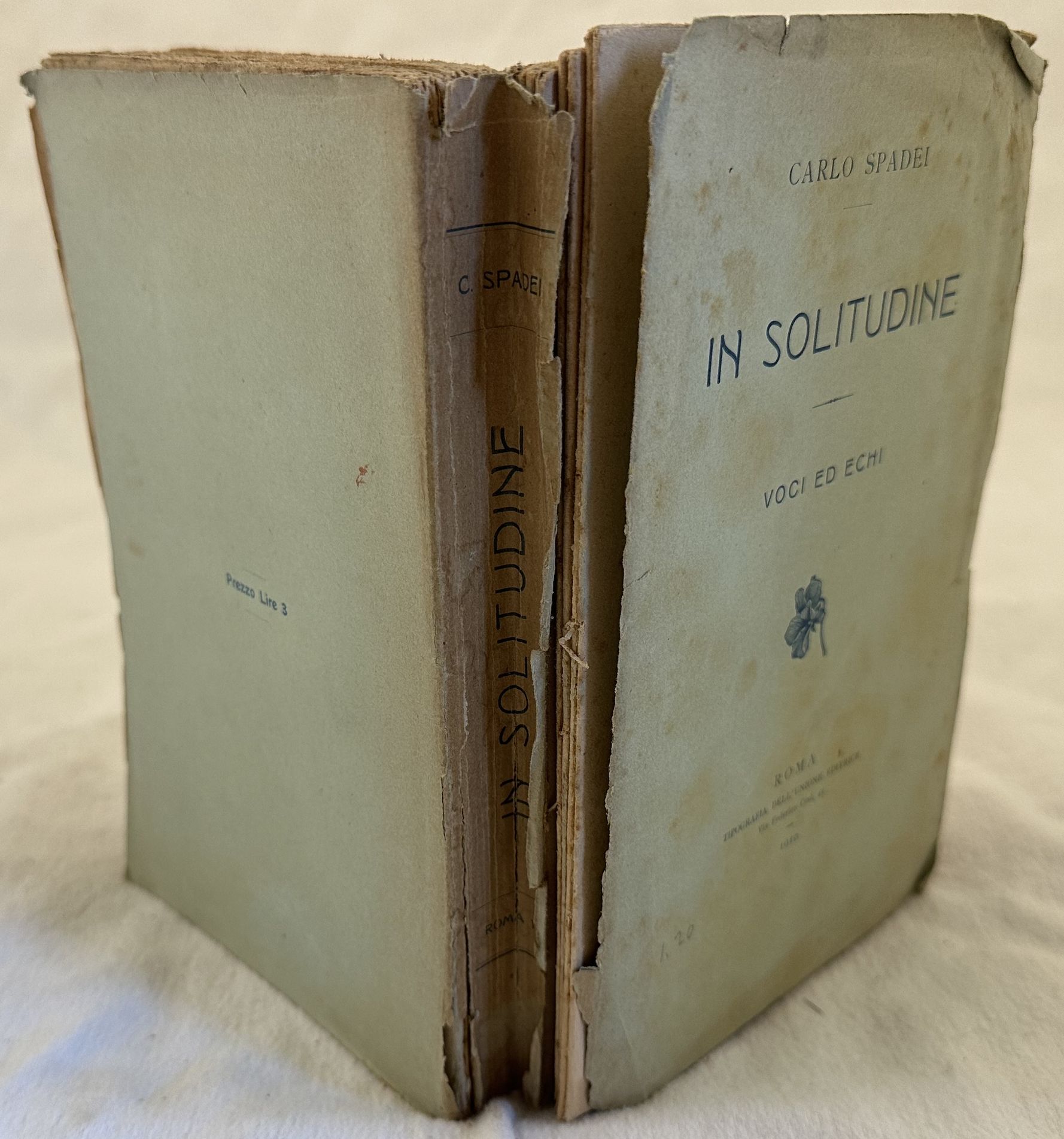 IN SOLITUDINE VOCI ED ECHI