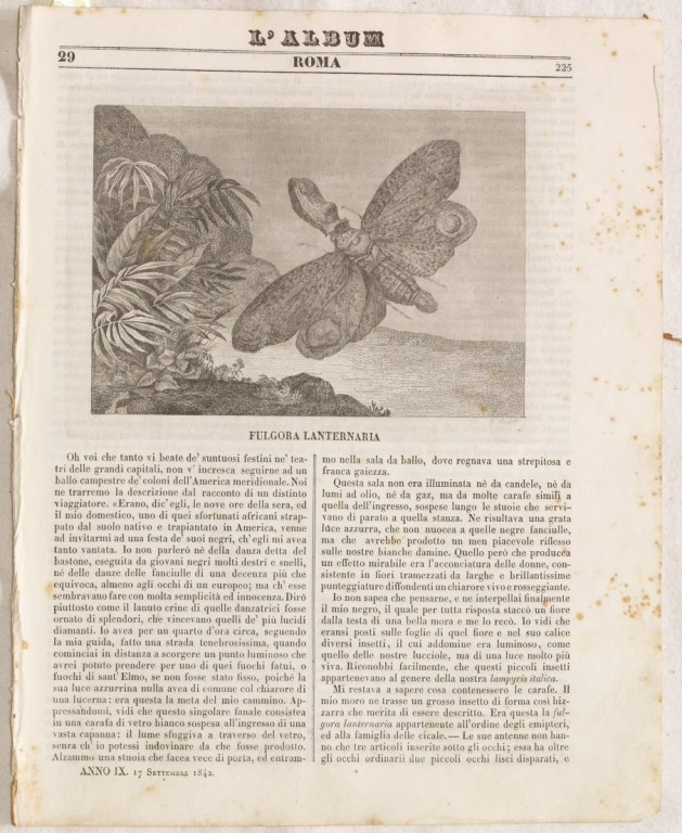 L'ALBUM DI ROMA 17 SETTEMBRE 1842 ANNO IX