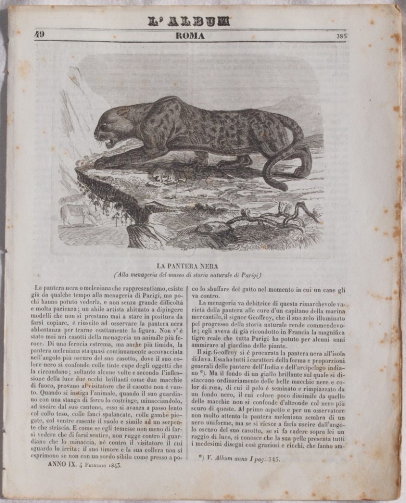 L'ALBUM DI ROMA 4 FEBBRAIO 1843