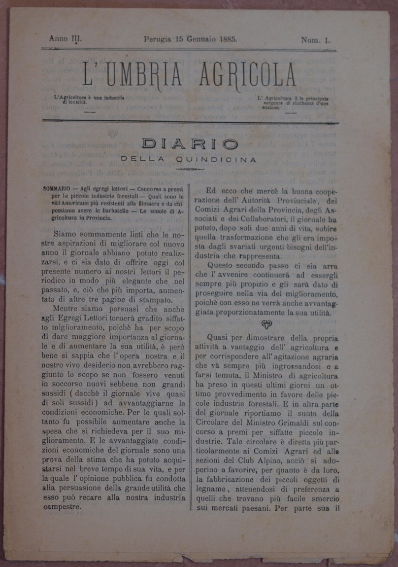 L'UMBRIA AGRICOLA GIORNALE DI ECONOMIA RURALE E DELLE INDUSTRIE CAMPESTRI …