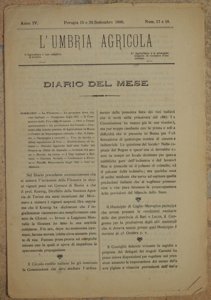 L'UMBRIA AGRICOLA GIORNALE DI ECONOMIA RURALE E DELLE INDUSTRIE CAMPESTRI …