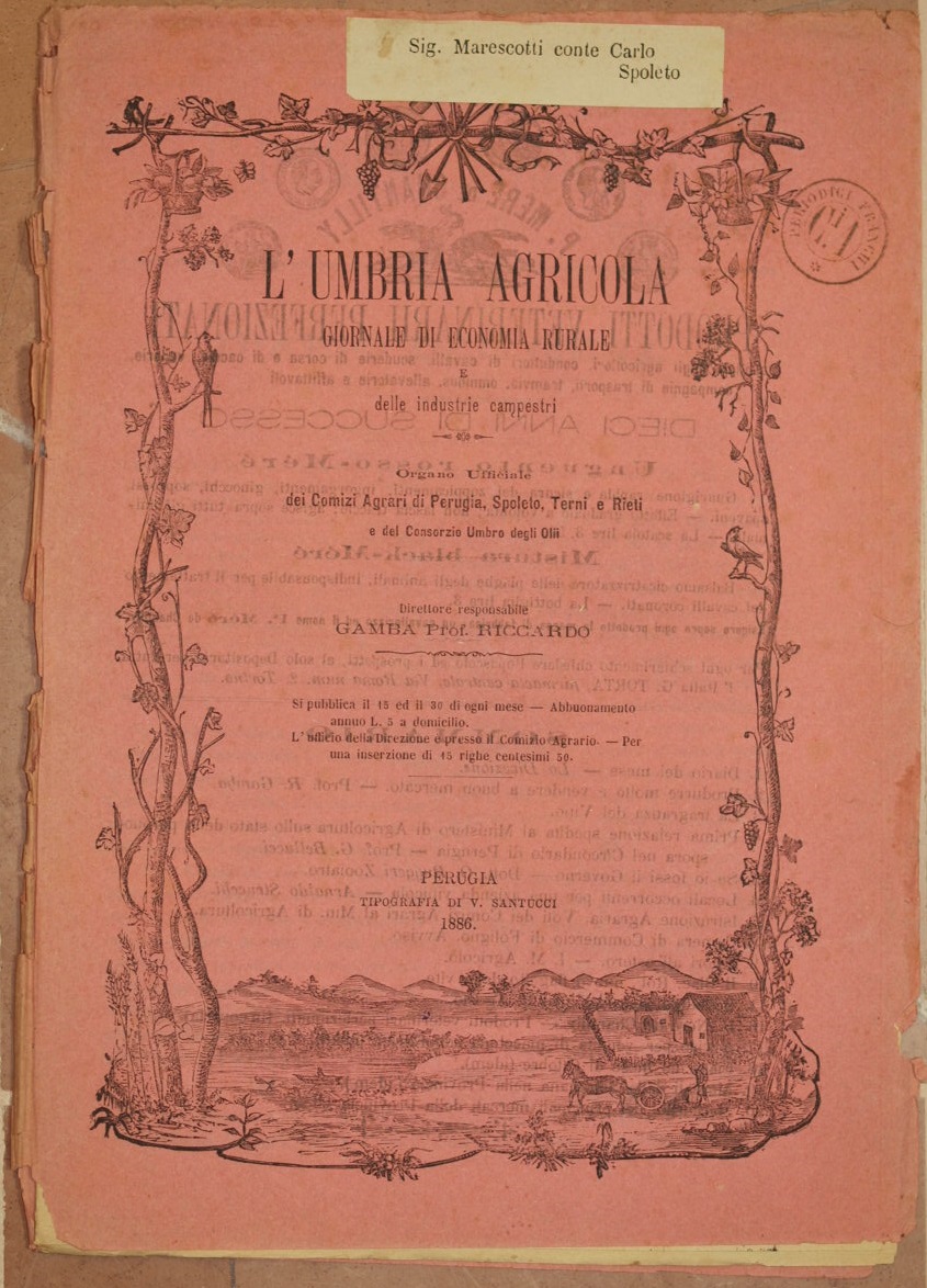 L'UMBRIA AGRICOLA GIORNALE DI ECONOMIA RURALE E DELLE INDUSTRIE CAMPESTRI …