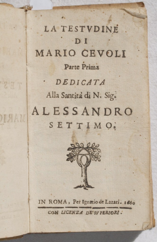 LA TESTUDINE DI MARIO CEVOLI