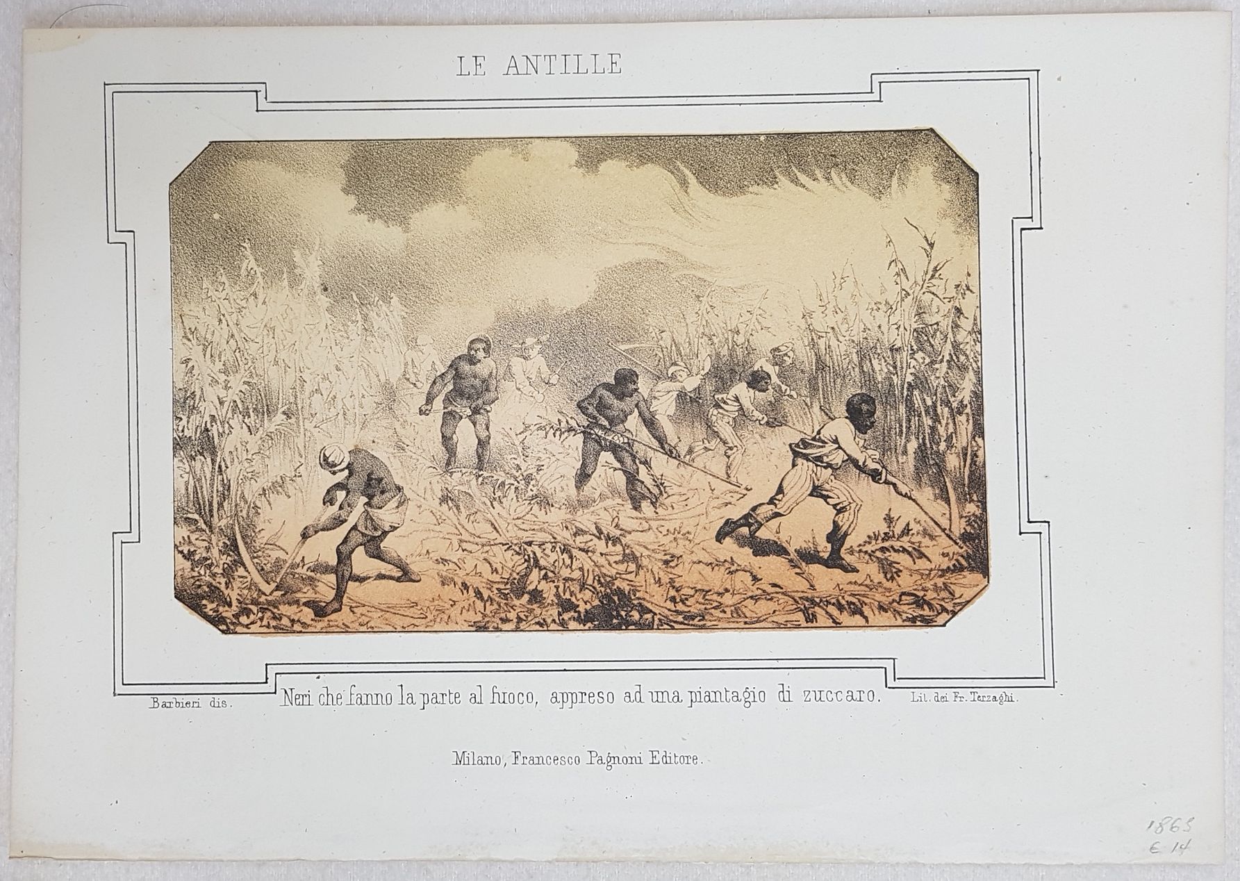 LE ANTILLE NERI CHE FANNO LA PARTE AL FUOCO APPRESO …