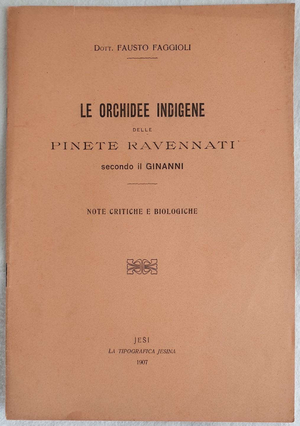 LE ORCHIDEE INDIGENE DELLE PINETE RAVENNATI SECONDO IL GINANNI NOTE …