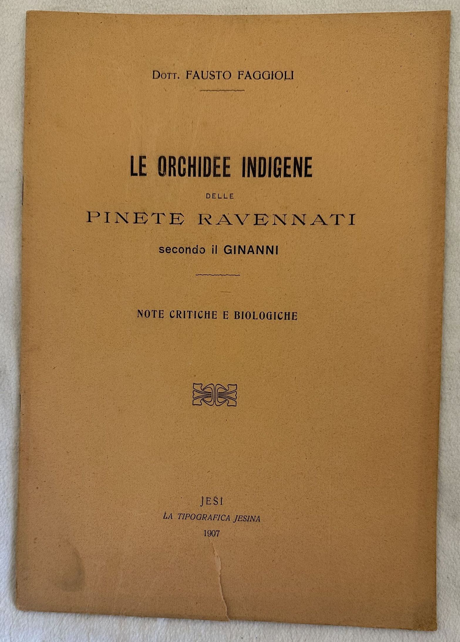 LE ORCHIDEE INDIGENE DELLE PINETE RAVENNATI SECONDO IL GINANNI NOTE …