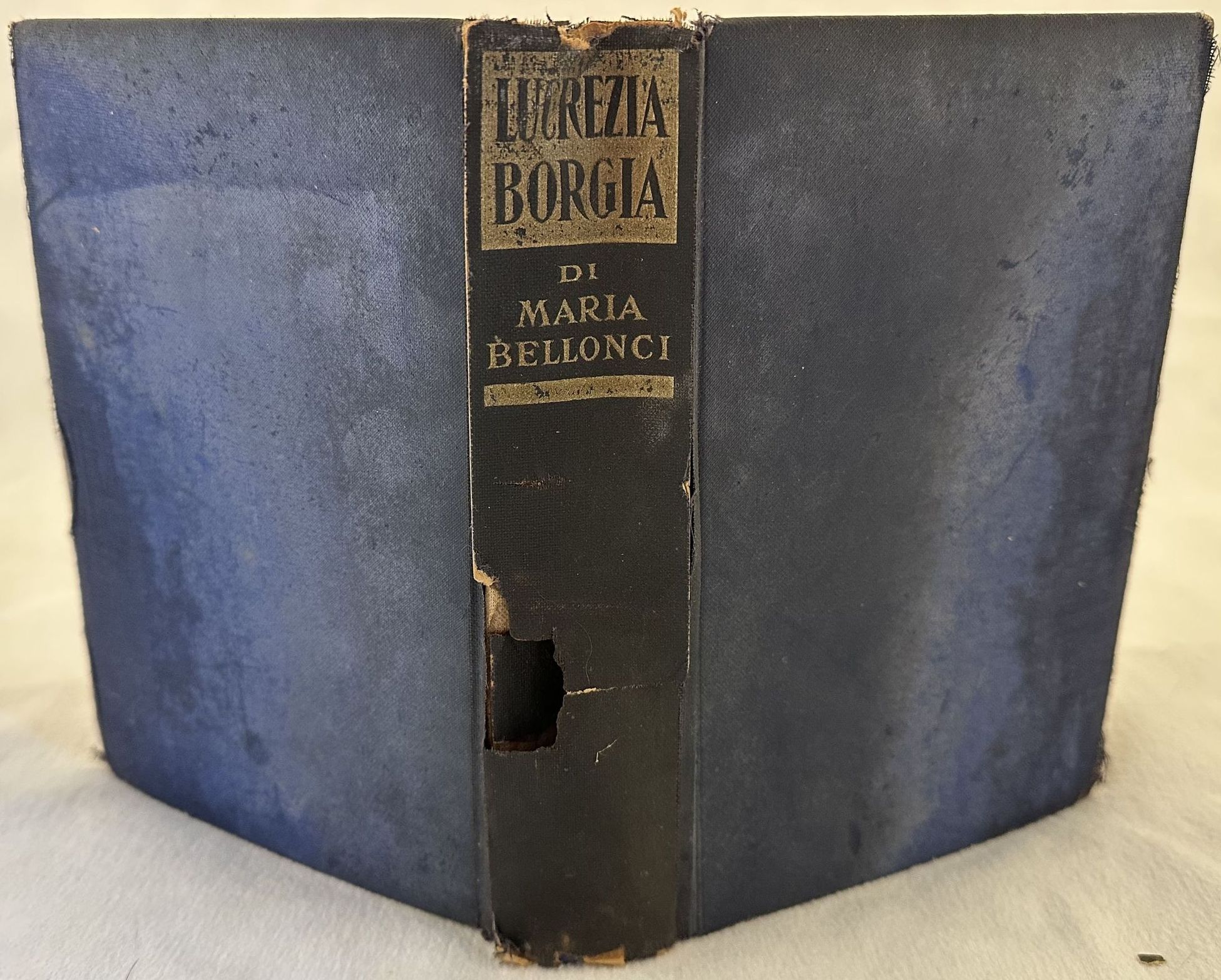 LUCREZIA BORGIA LA SUA VITA E I SUOI TEMPI CON …