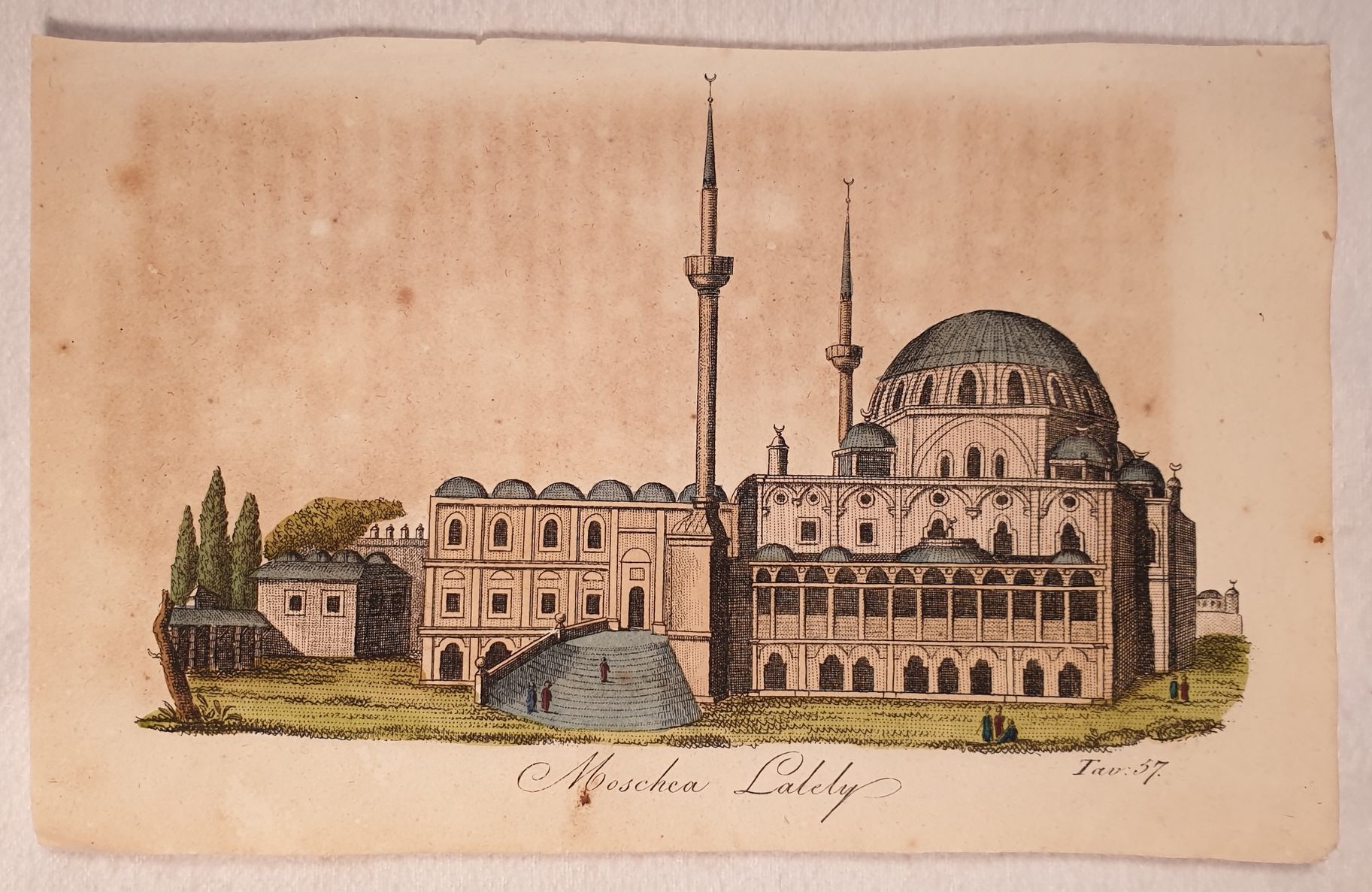 MOSCHEA LALELY
