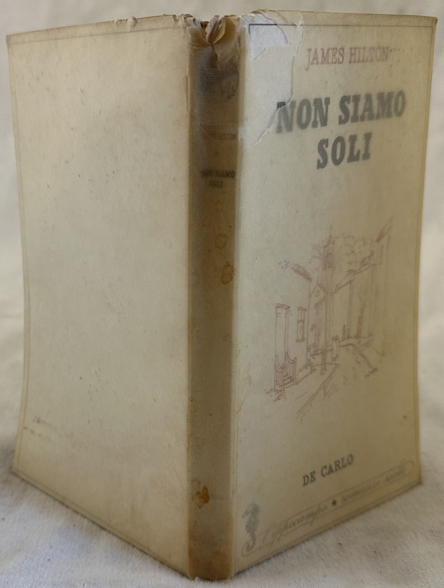 NON SIAMO SOLI