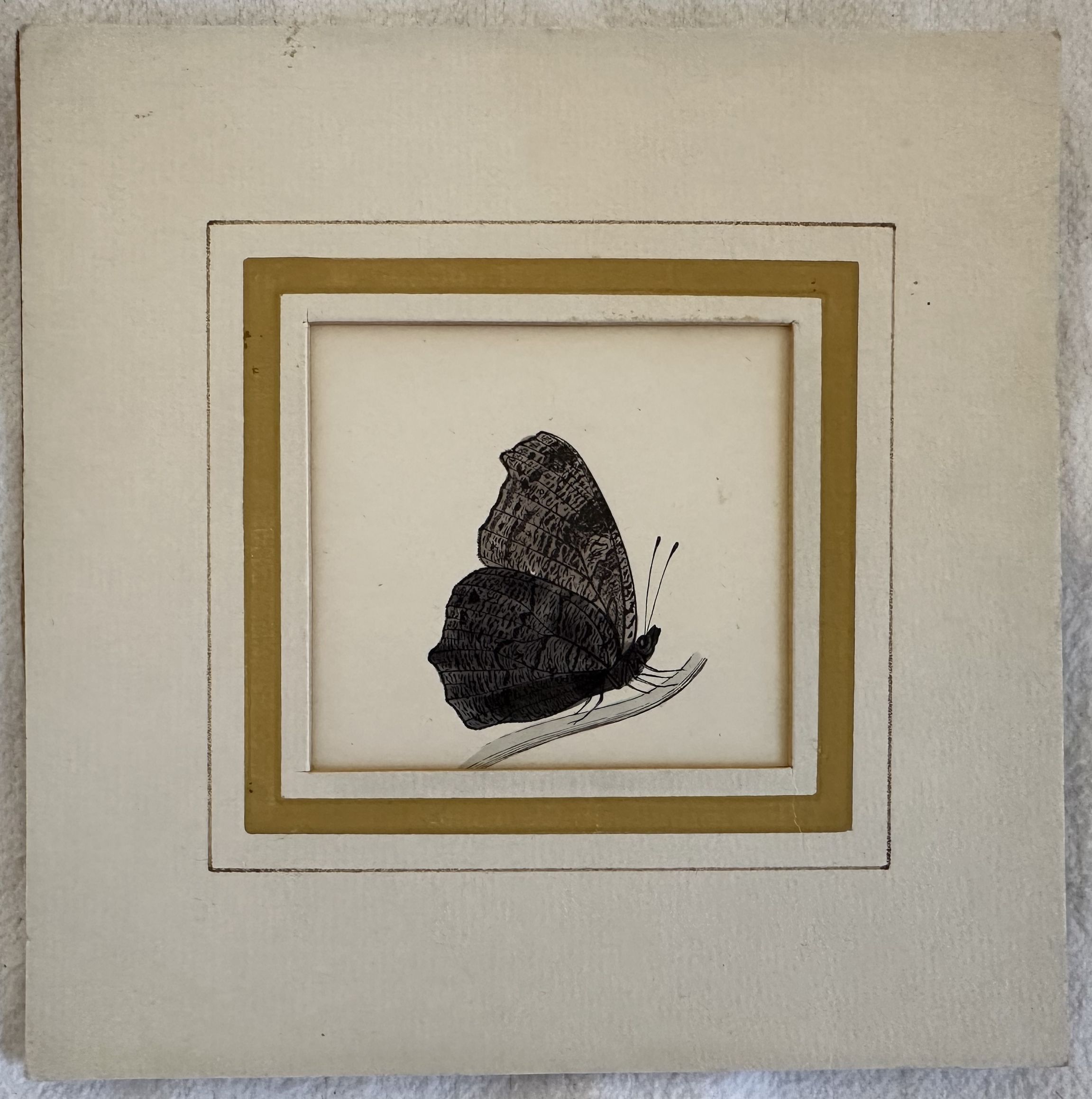 Peacock butterfly Inachis io Vanessa