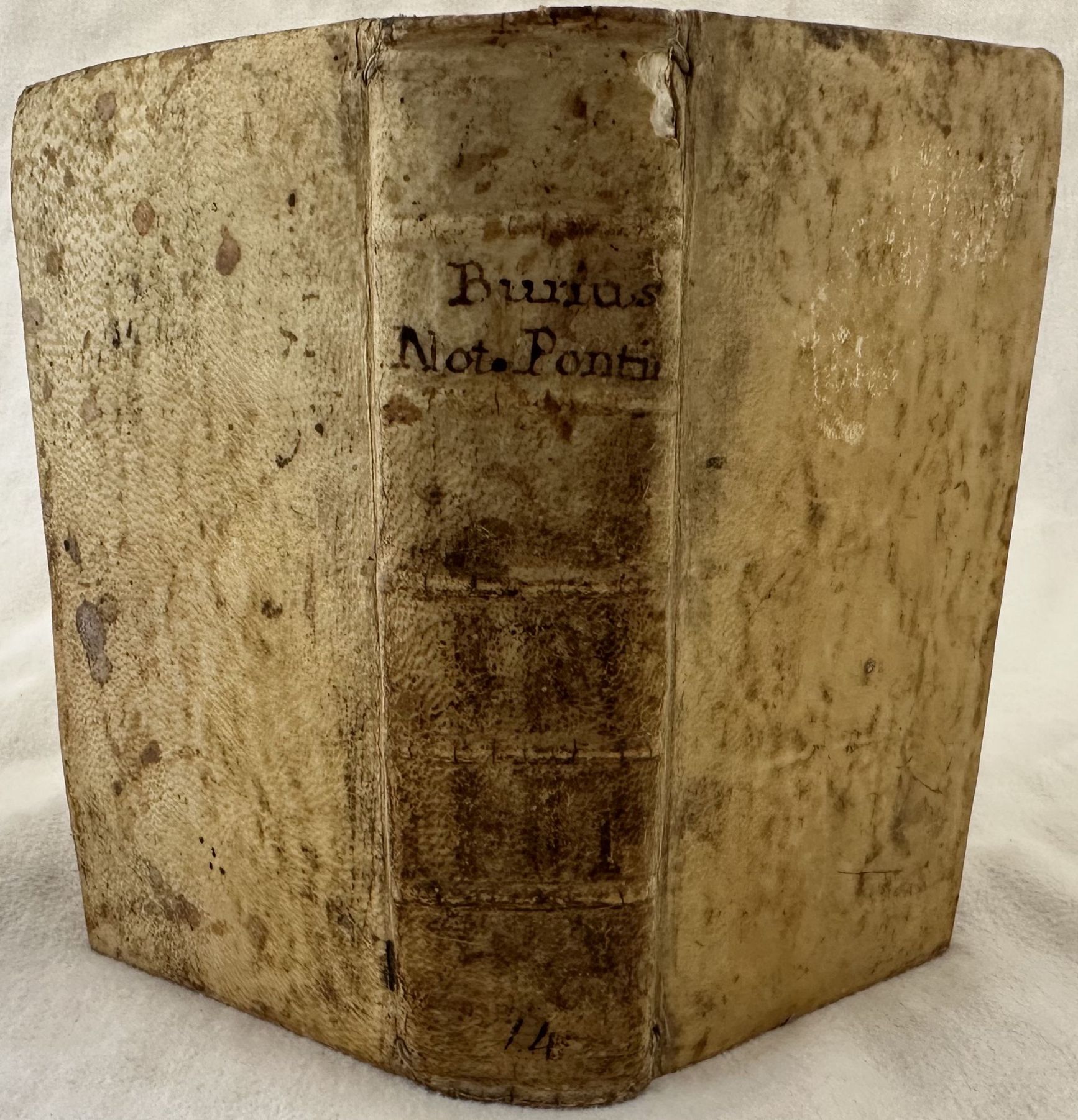 ROMANORUM PONTIFICUM BREVIS NOTITIA RITUS ECCLESIASTICOS & SINGULIS INSTITUTOS PRAECIPUO …