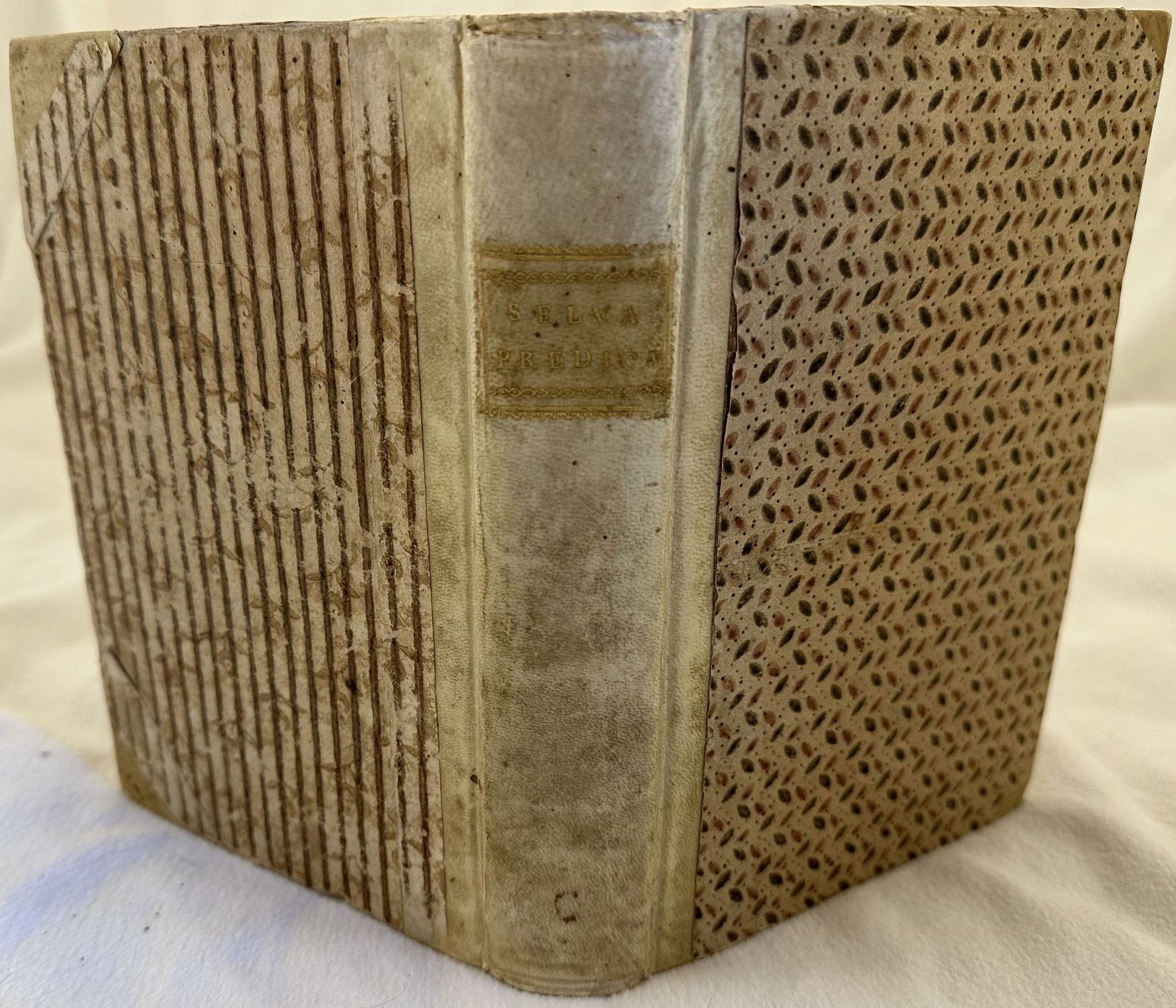 SELVA DI MATERIE PREDICABILI ED ISTRUTTIVE PER DARE GLI ESERCIZI …