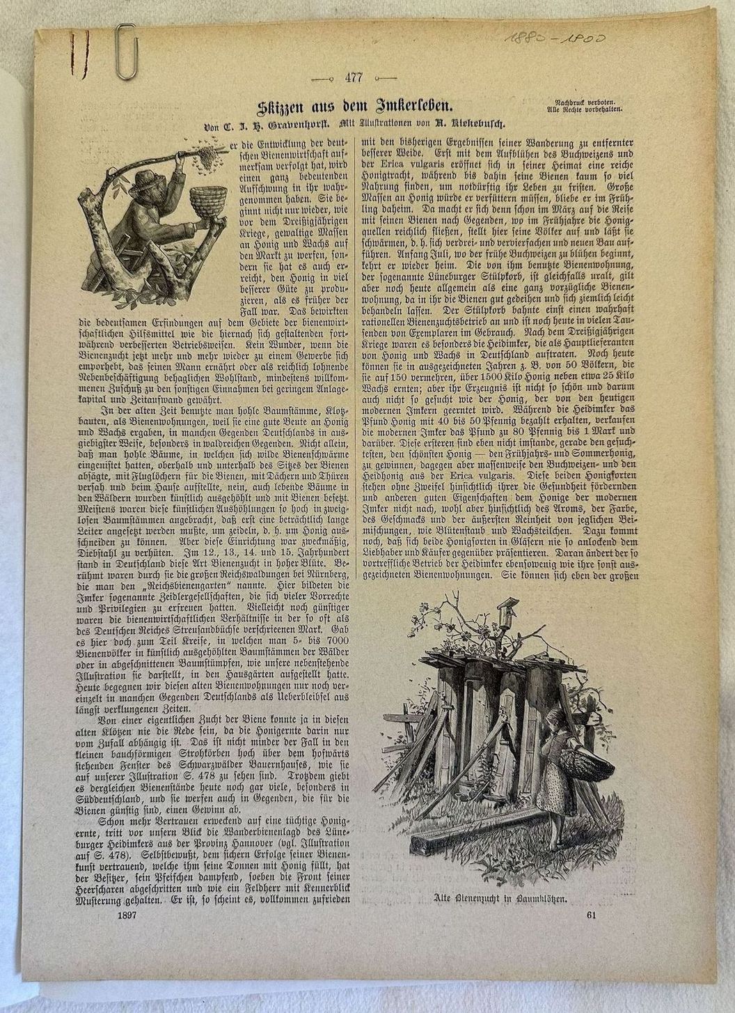 SKIZZEN AUS DEM IMKERSEBEN (SKETCHES FROM THE BEEKEEPERS LIFE) VON …