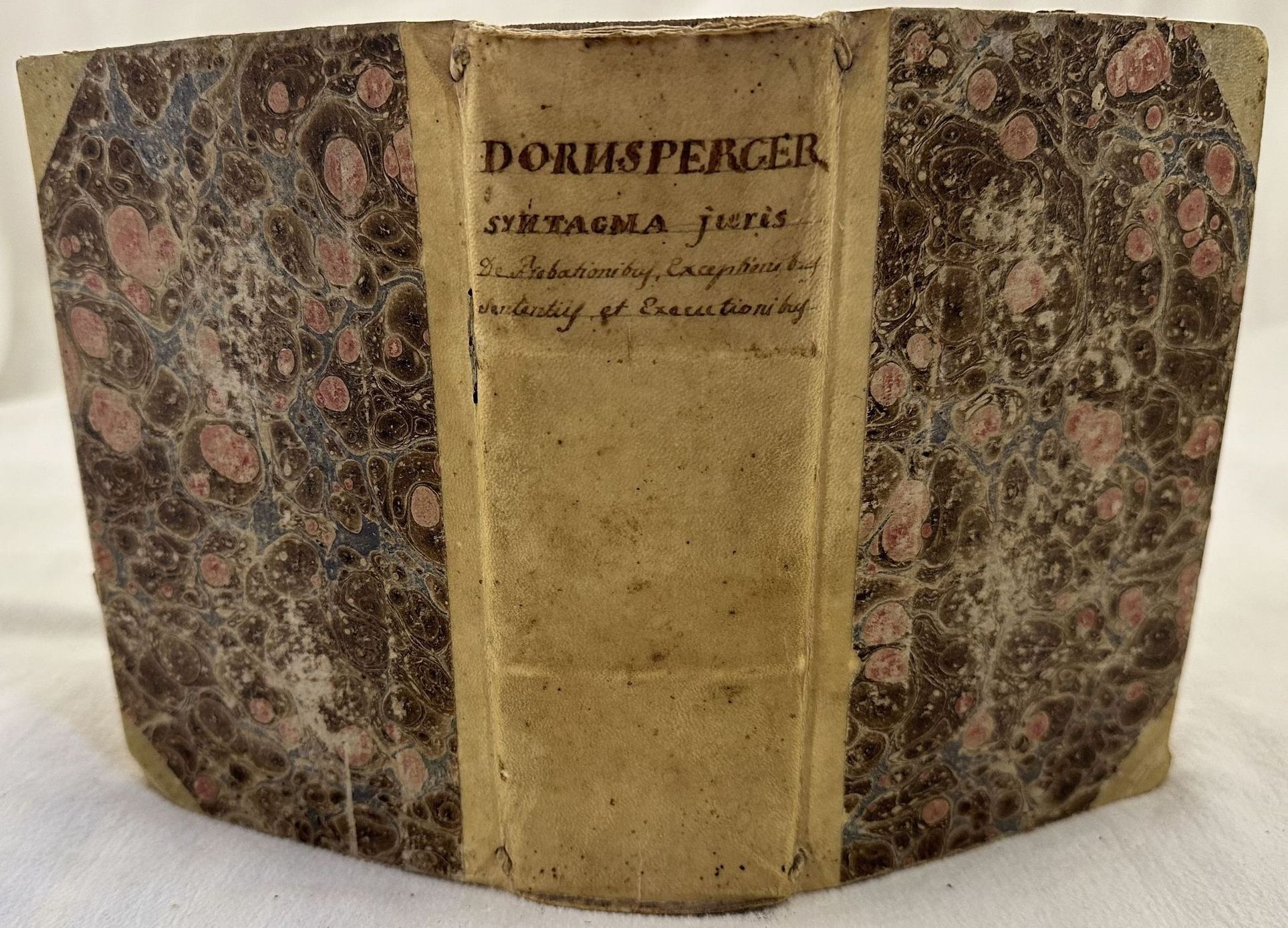 SYNTAGMA IURIS DE PROBATIONIBUS, EXCEPTIONIBUS SENTENTIIS & EXECUTIONIBUS