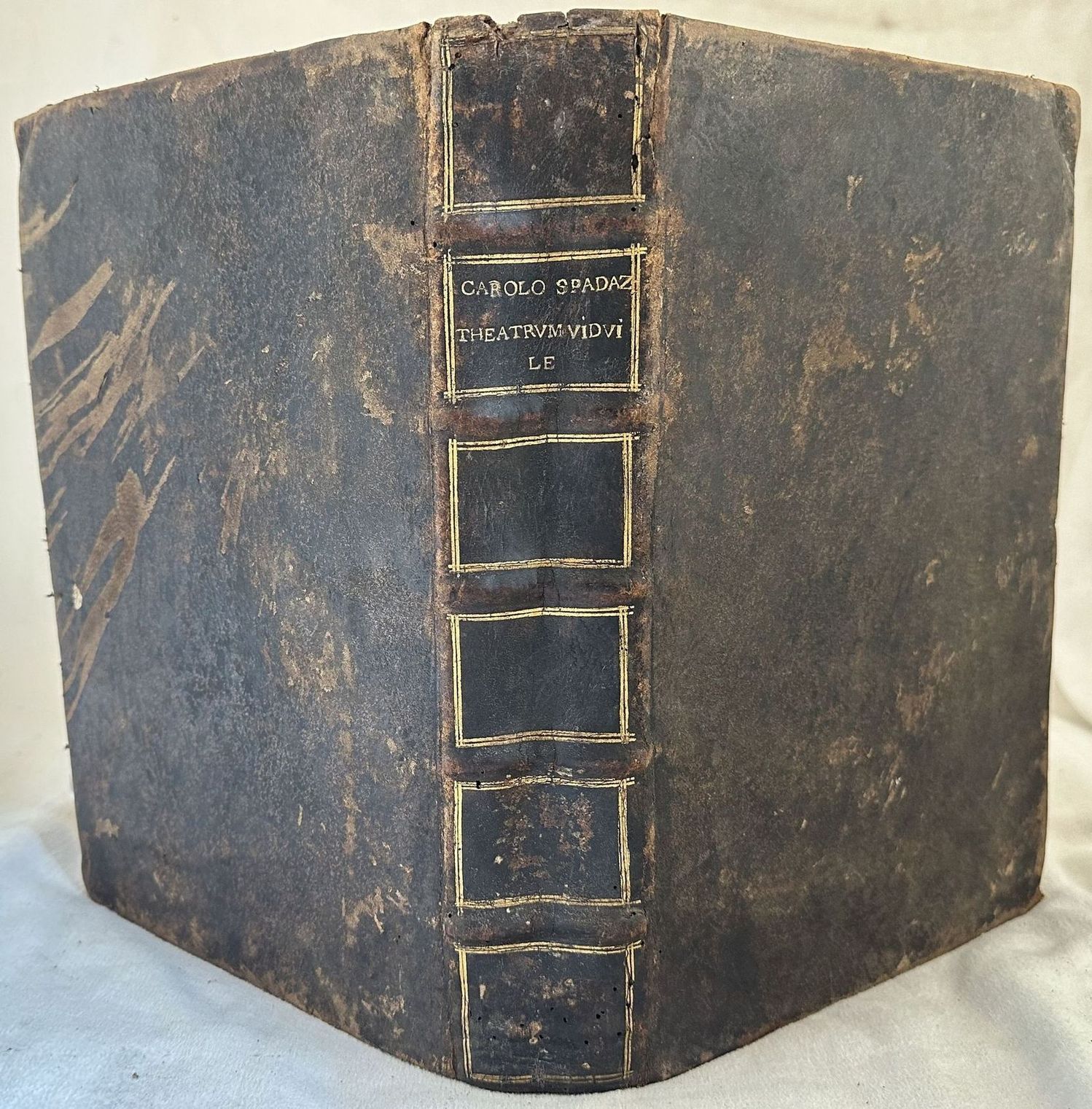 THEATRUM VIDUILE SEU DE VIDUIS AC PRIVILEGIIS VIDUILIBUS TRACTATUS ABSOLUTISSIMUS, …