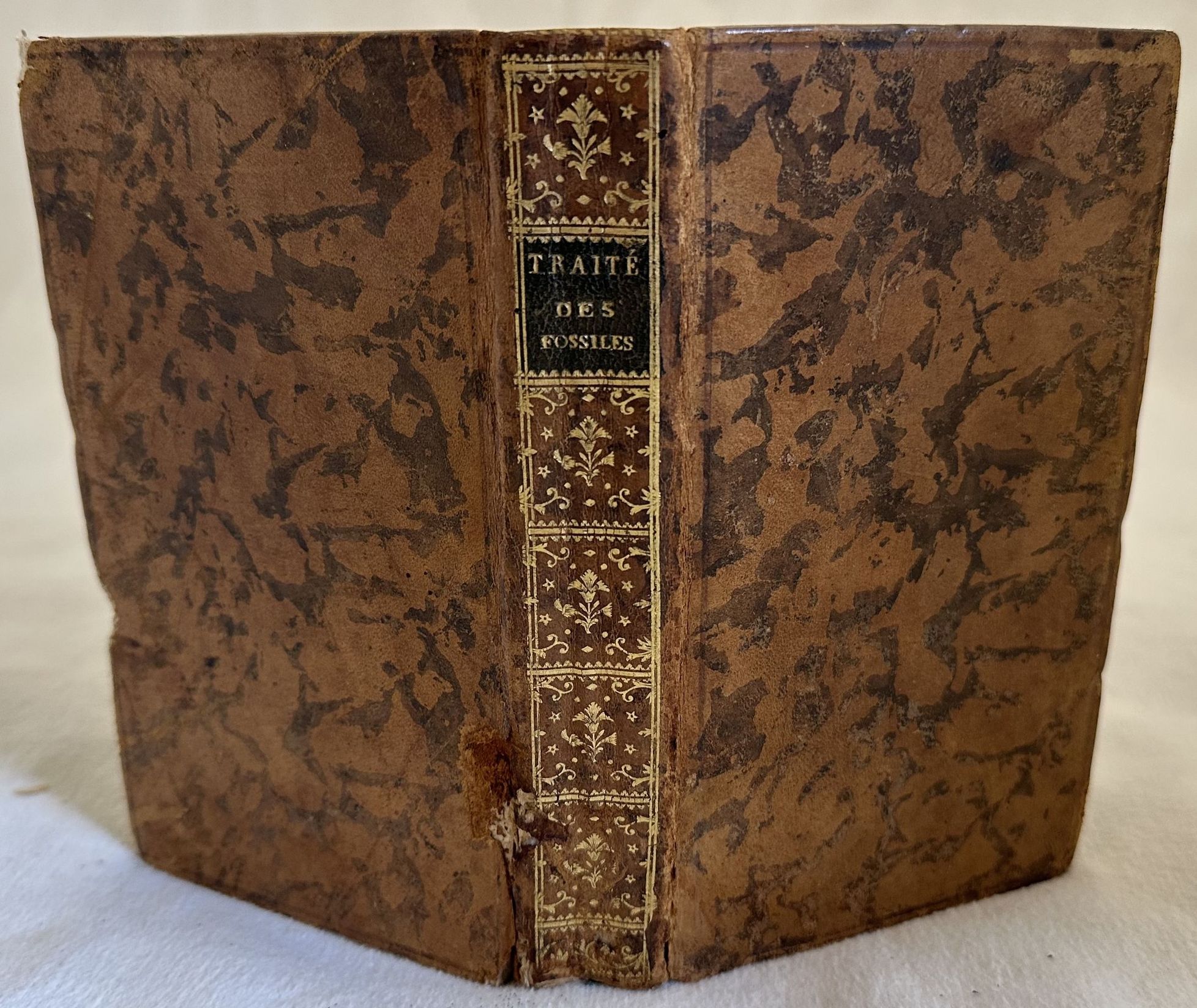 TRAITE DES CARACTERES EXTERIEURS DES FOSSILES