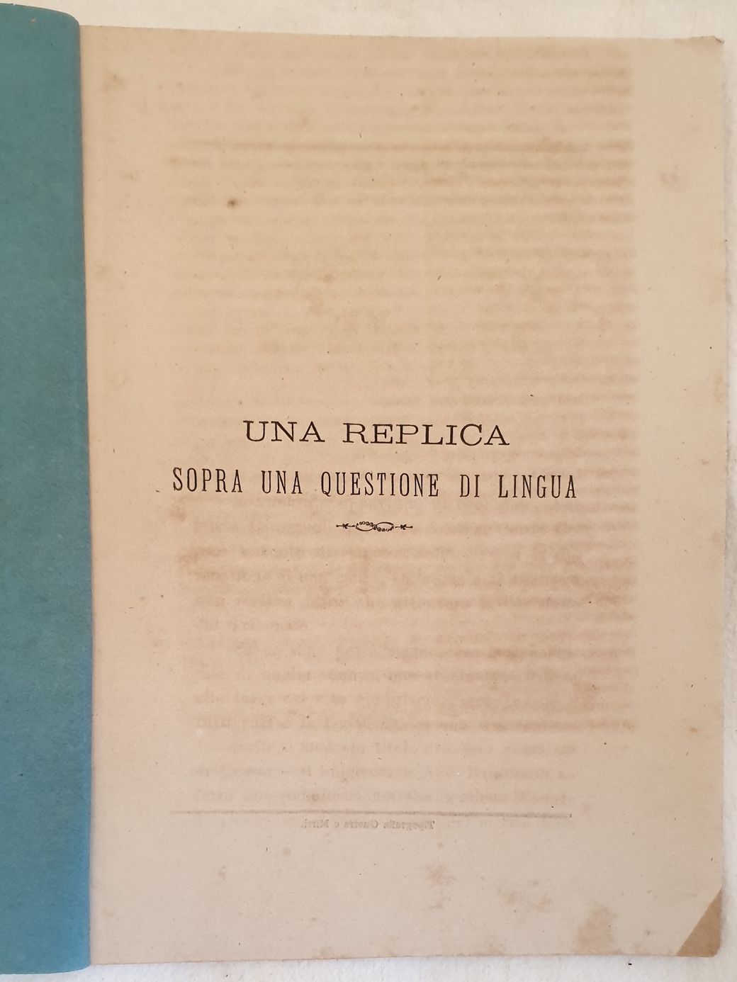 UNA REPLICA SOPRA UNA QUESTIONE DI LINGUA