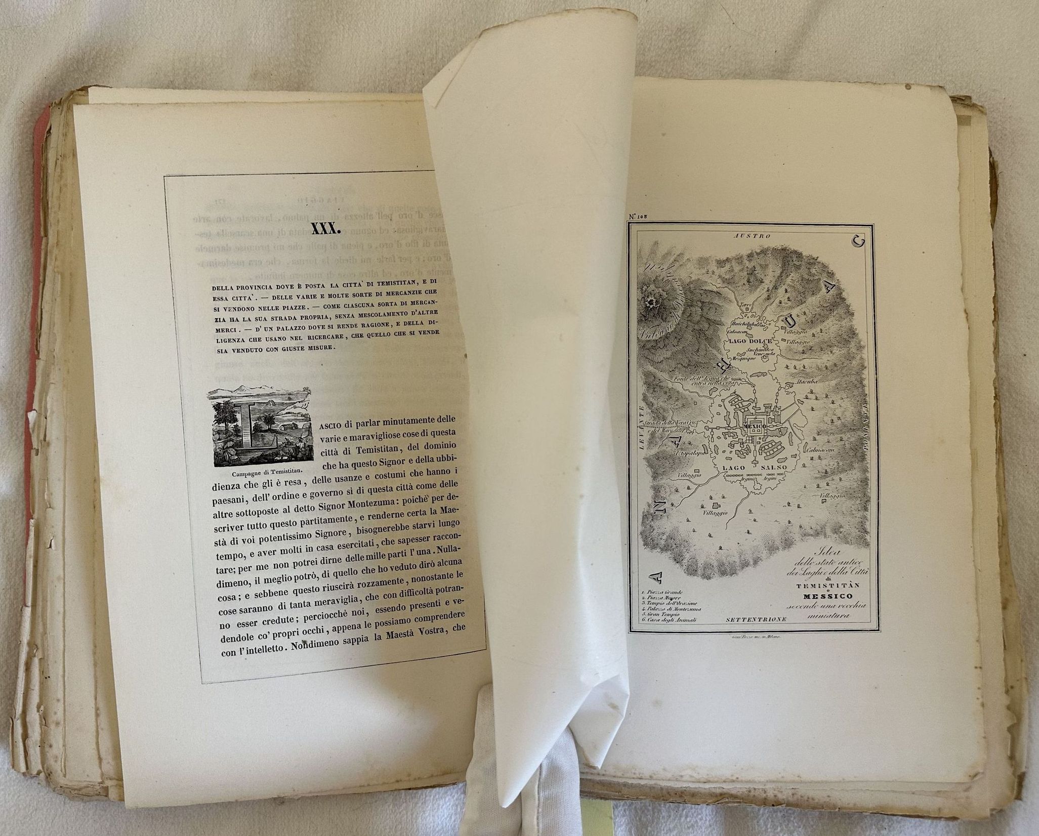 VIAGGI LETTERE RELAZIONI E MEMORIE RELATIVE ALLA SCOPERTA ED ALLA …