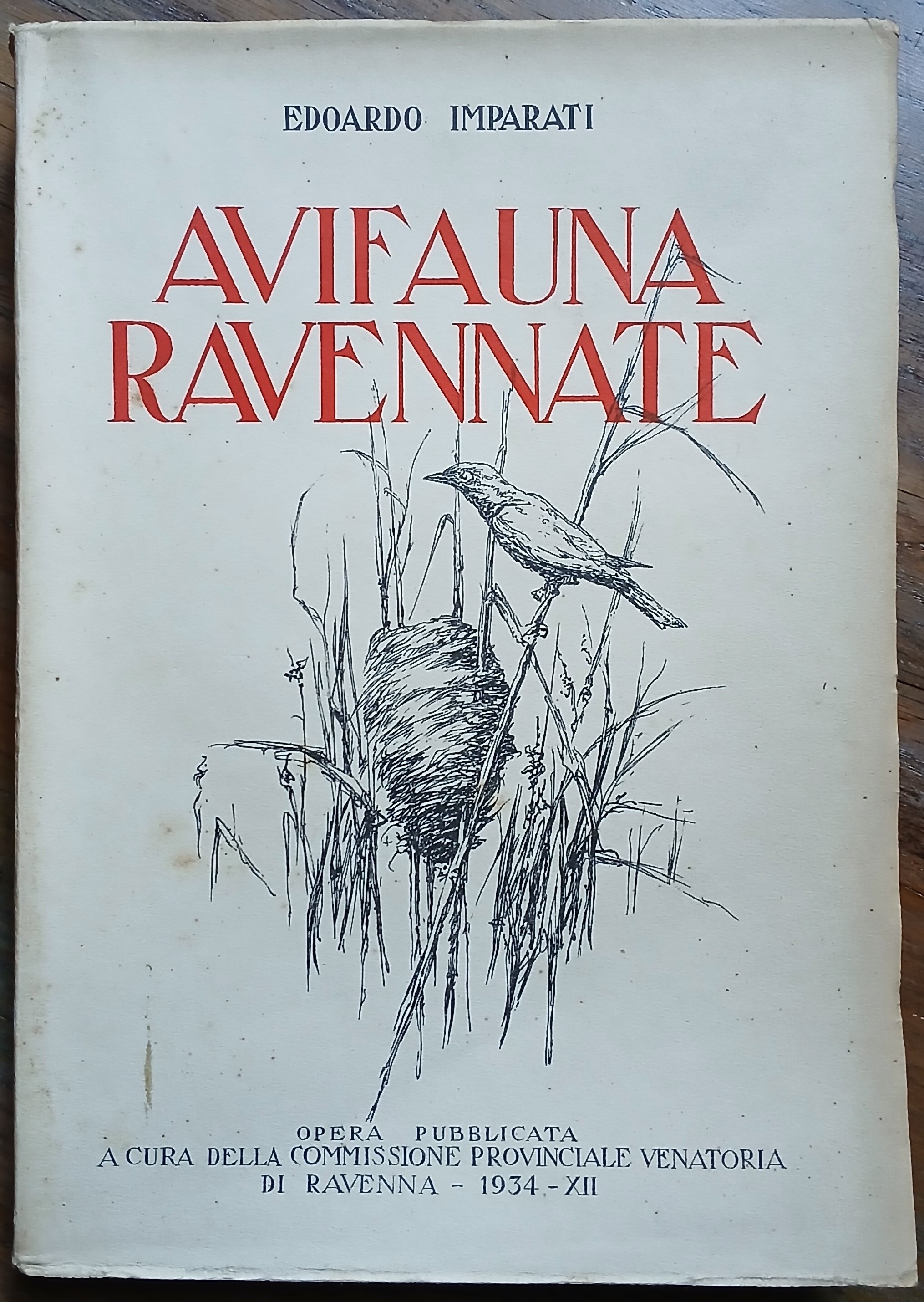 Avifauna Ravennate.