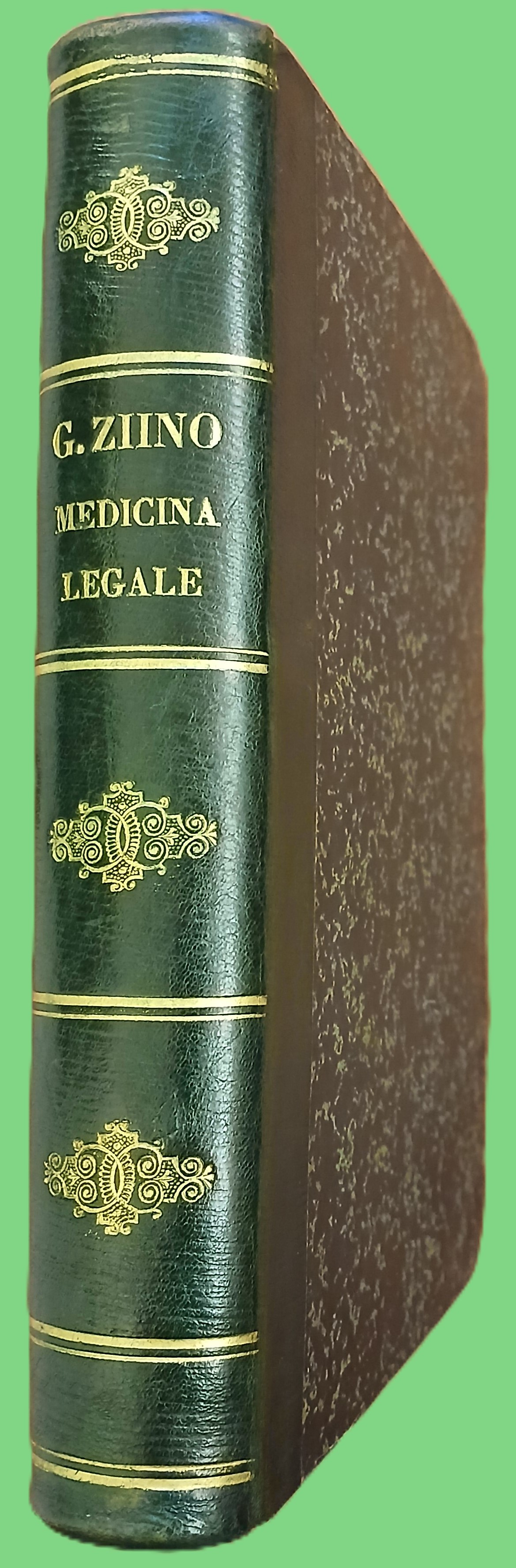 Compendio di medicina legale in trenta lezioni. Secondo le Leggi …