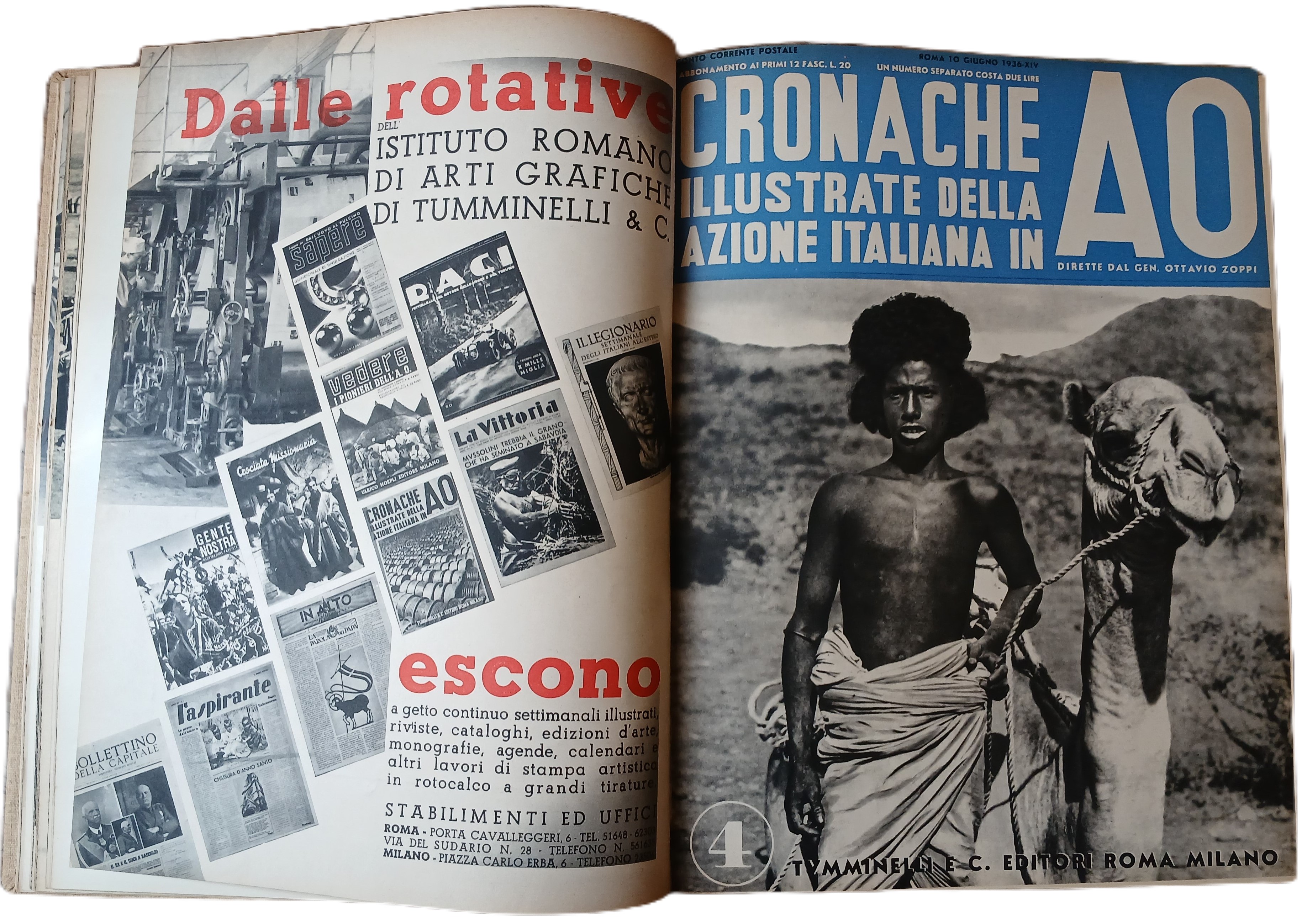 Cronache illustrate dell'azione italiana in A. O.