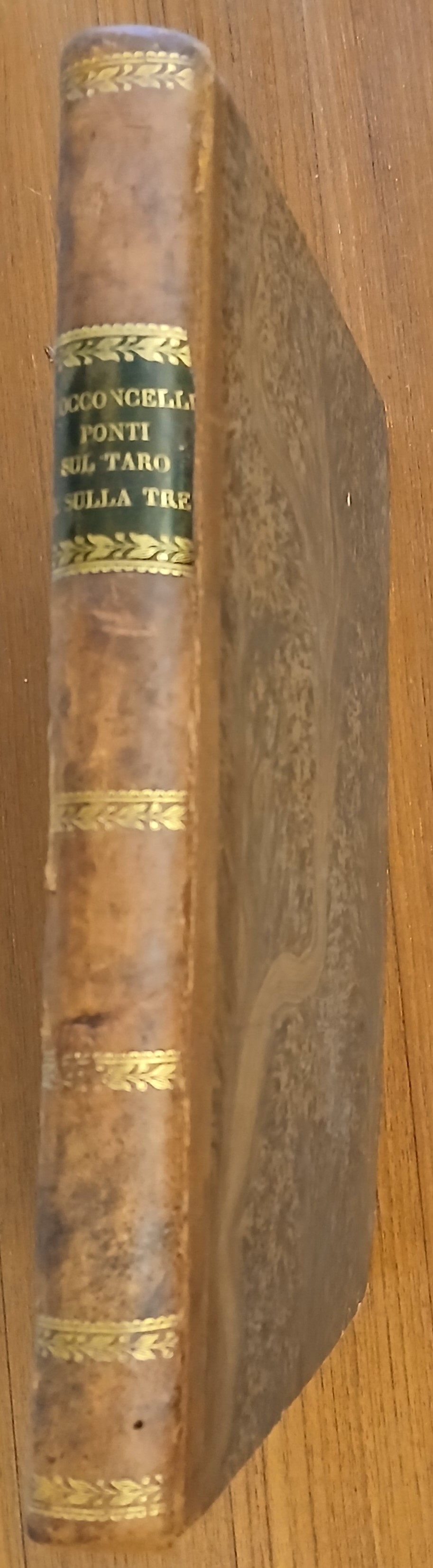 Descrizione dei Progetti e Lavori per l’innalzamento dei due ponti …