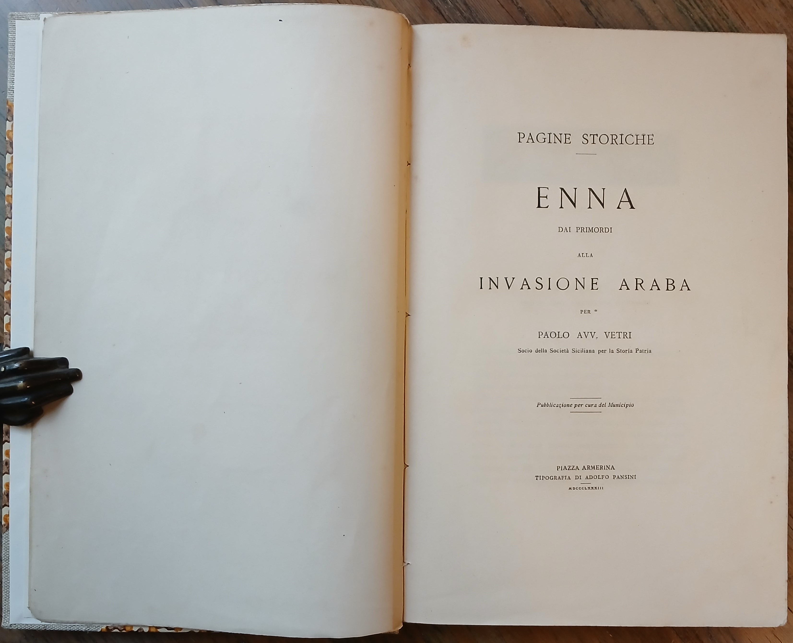 Enna dai primordi alla invasione araba. Pagine storiche.