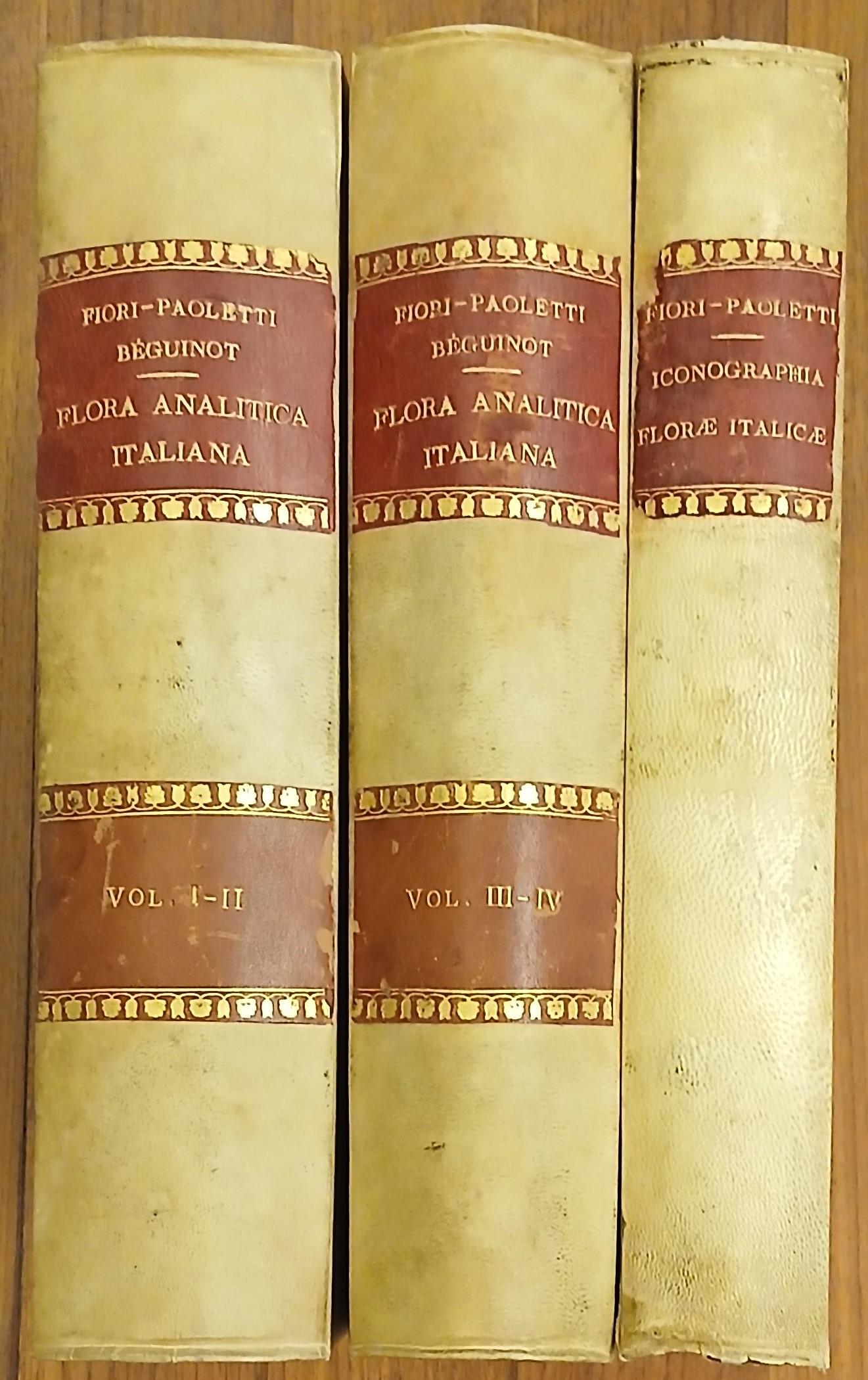 Flora analitica d’Italia, ossia descrizione delle piante vascolari indigene, inselvatichite …
