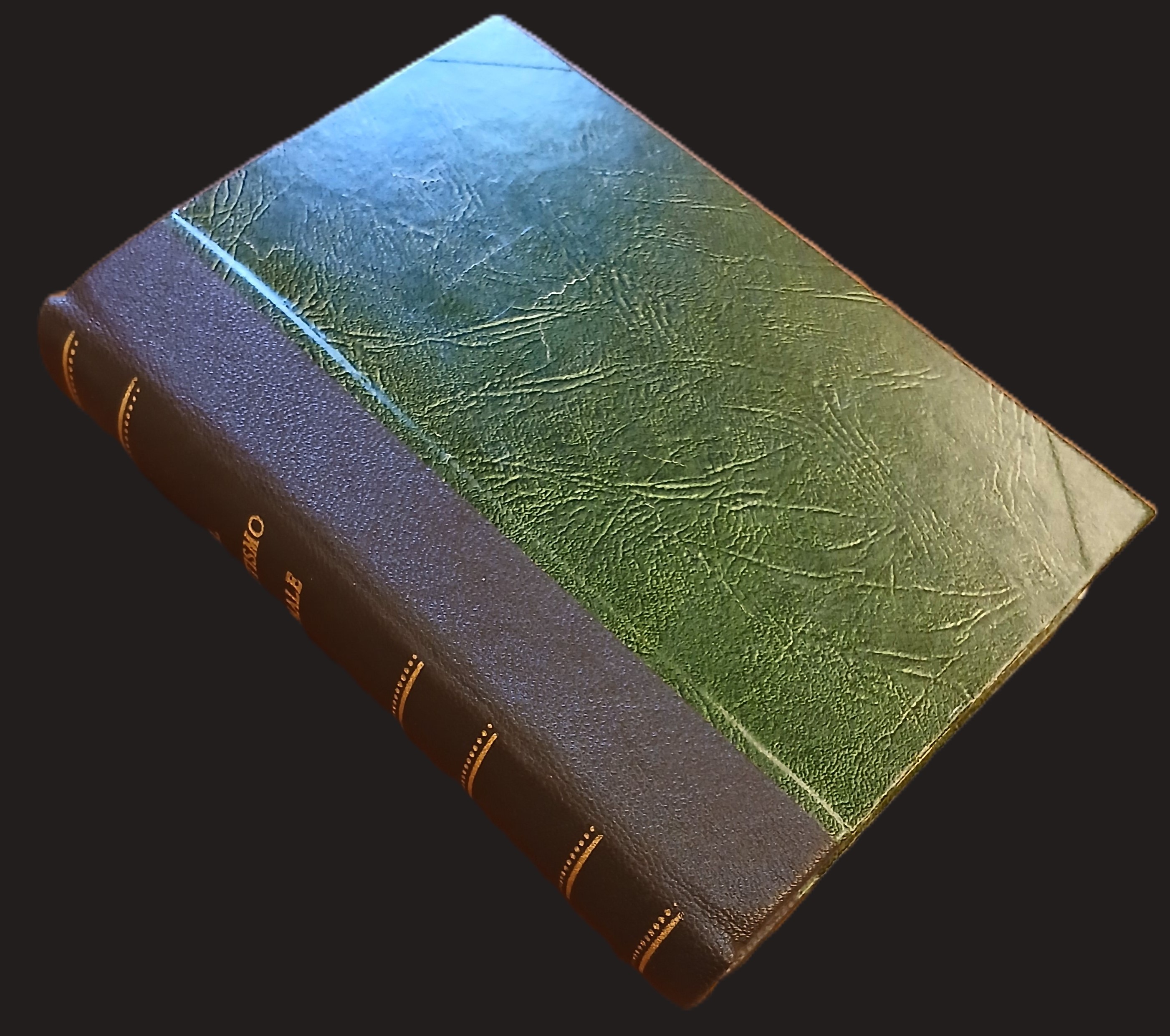 Il Magnetismo animale considerato secondo le leggi della natura e …