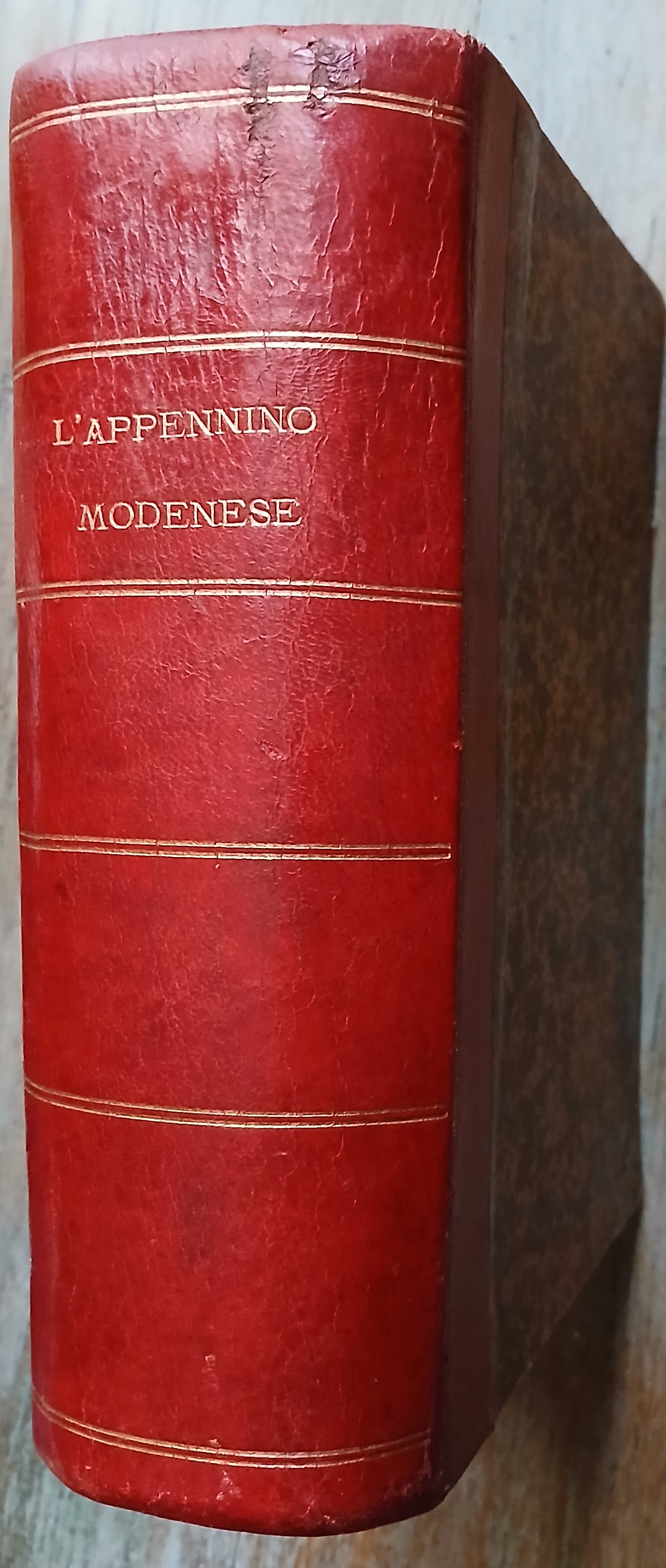 L'Appennino modenese descritto ed illustrato. Con 153 incisioni, una carta …