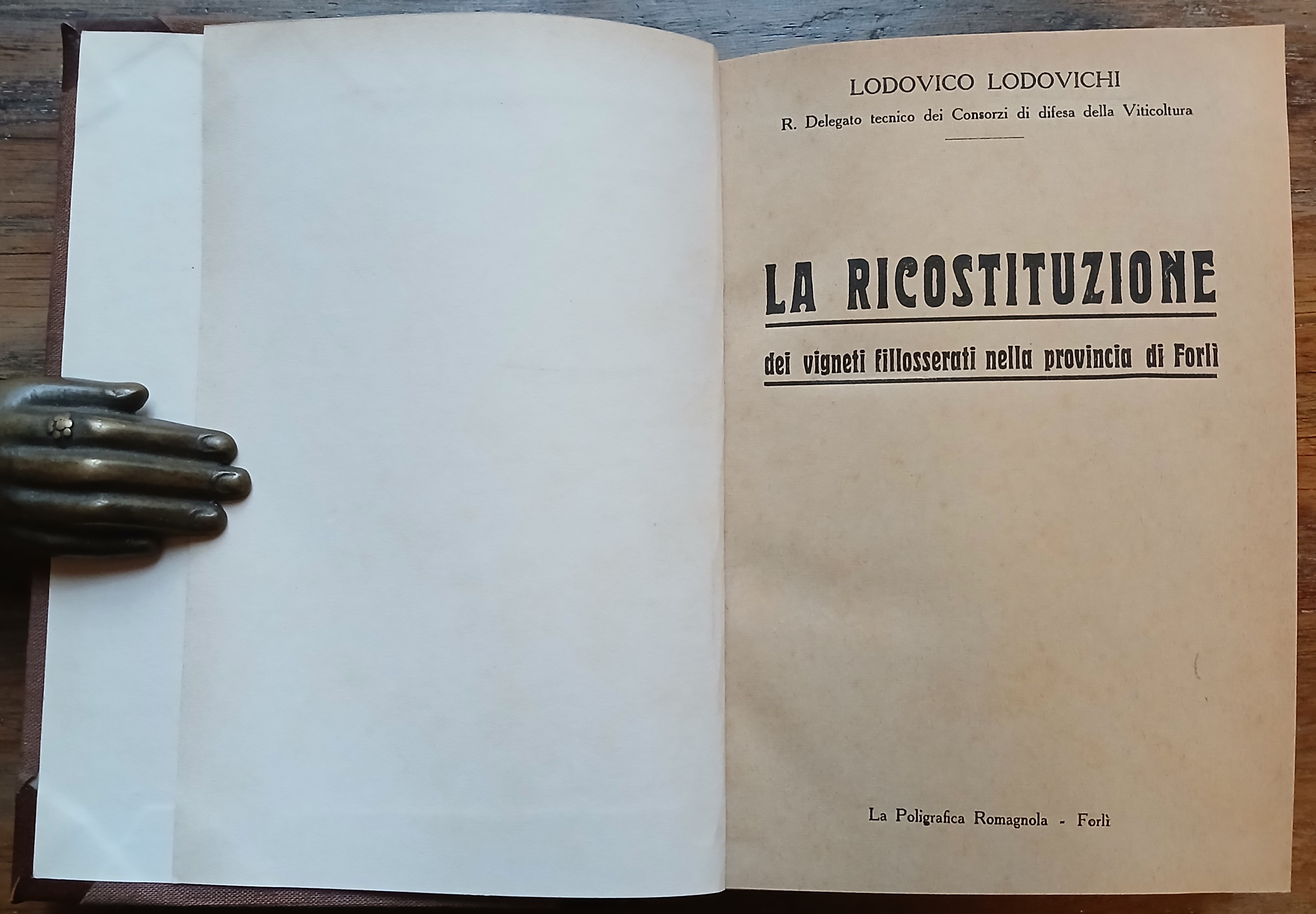 La ricostituzione dei vigneti fillosserati nella Provincia di Forlì.