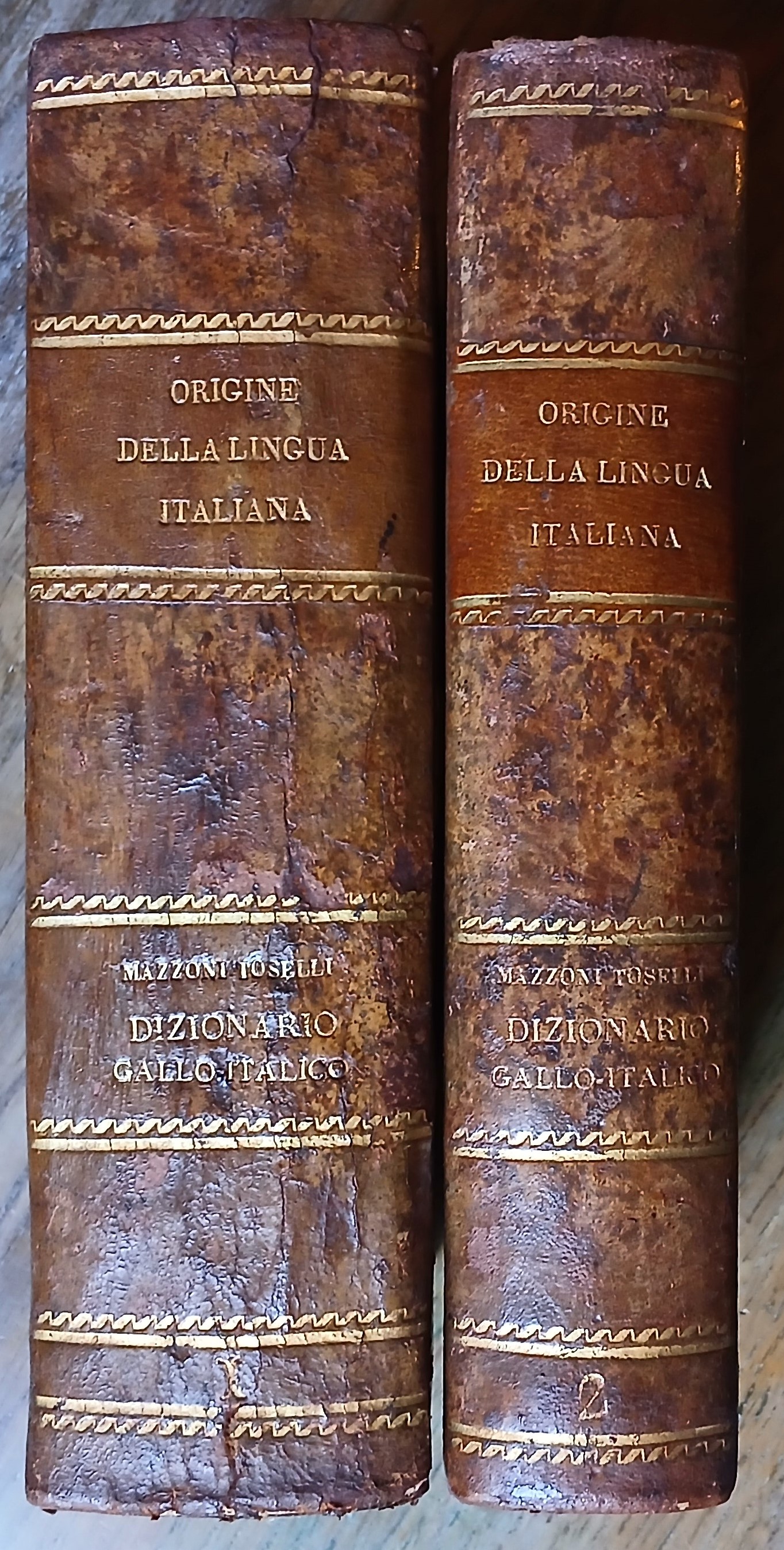 Origine della lingua italiana – Dizionario gallo-italico, ossia raccolta di …