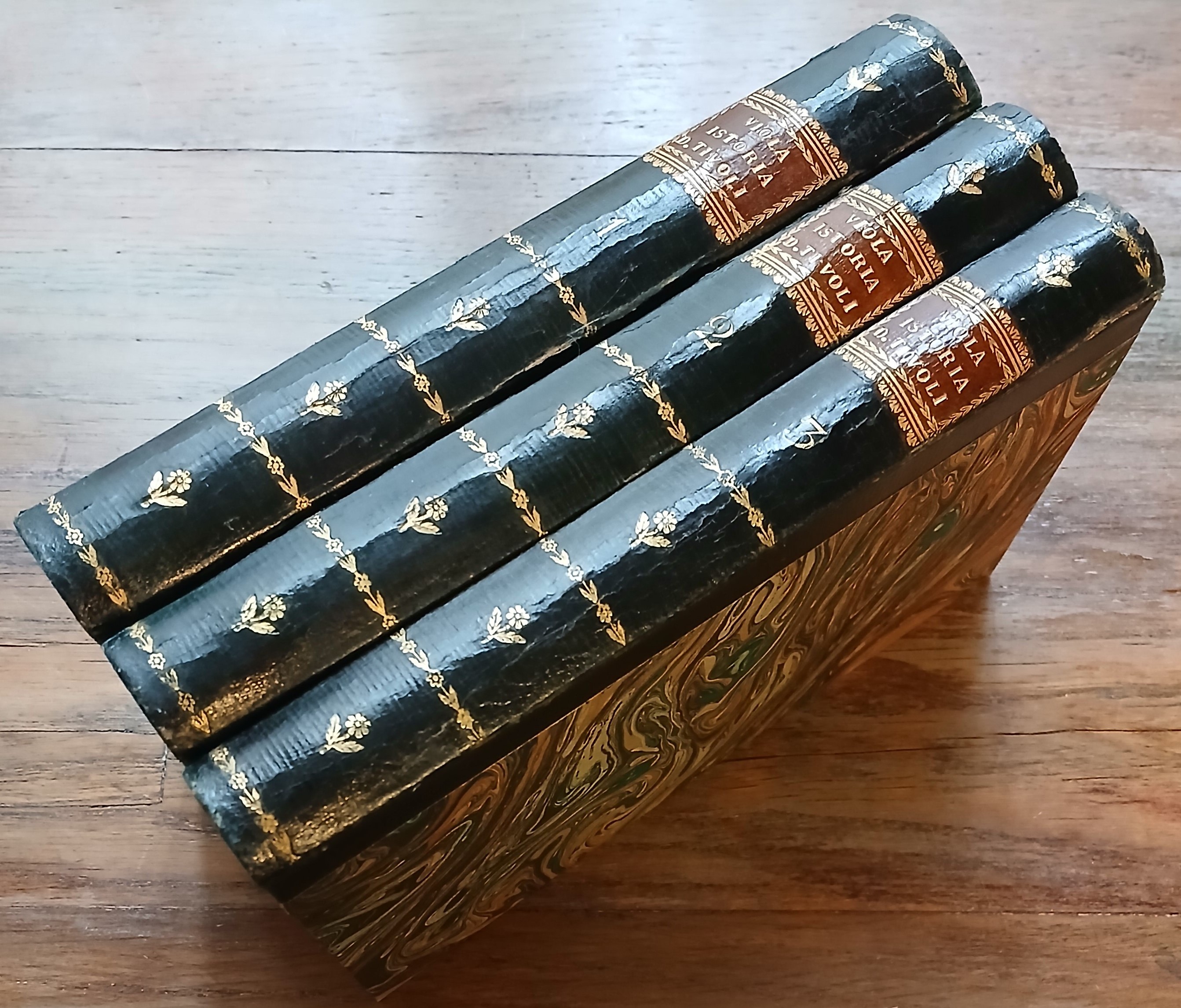 Storia di Tivoli. Dalla sua origine fino al secolo XVII.