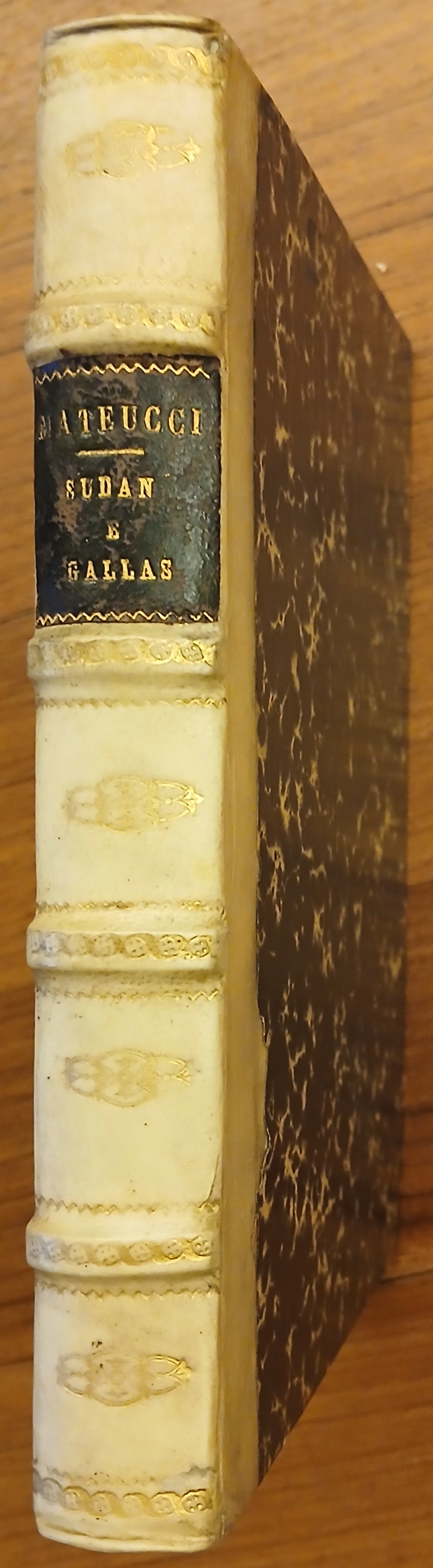 Sudan e Gallas. Spedizione Gessi - Matteucci