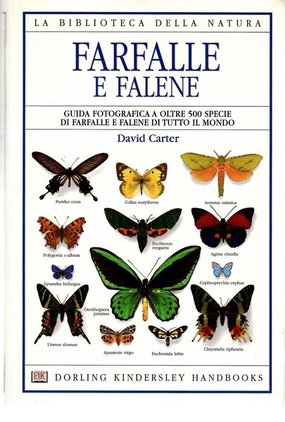 Farfalle e Falene