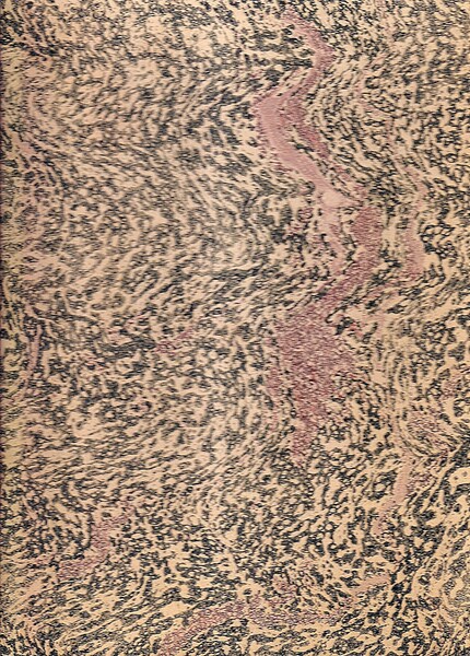 I tre nummi - La commedia del fantasma / La …