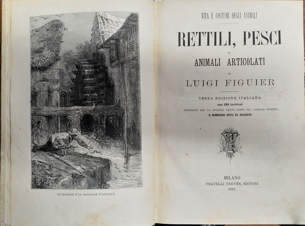 rettili, Pesci e Animali Articolati