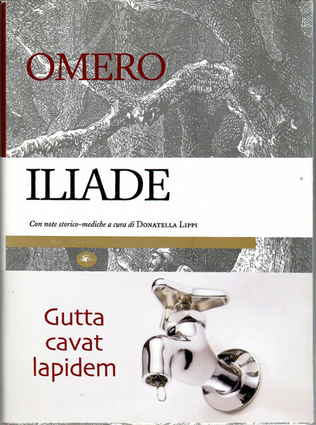 Iliade Con Note Storico-Mediche