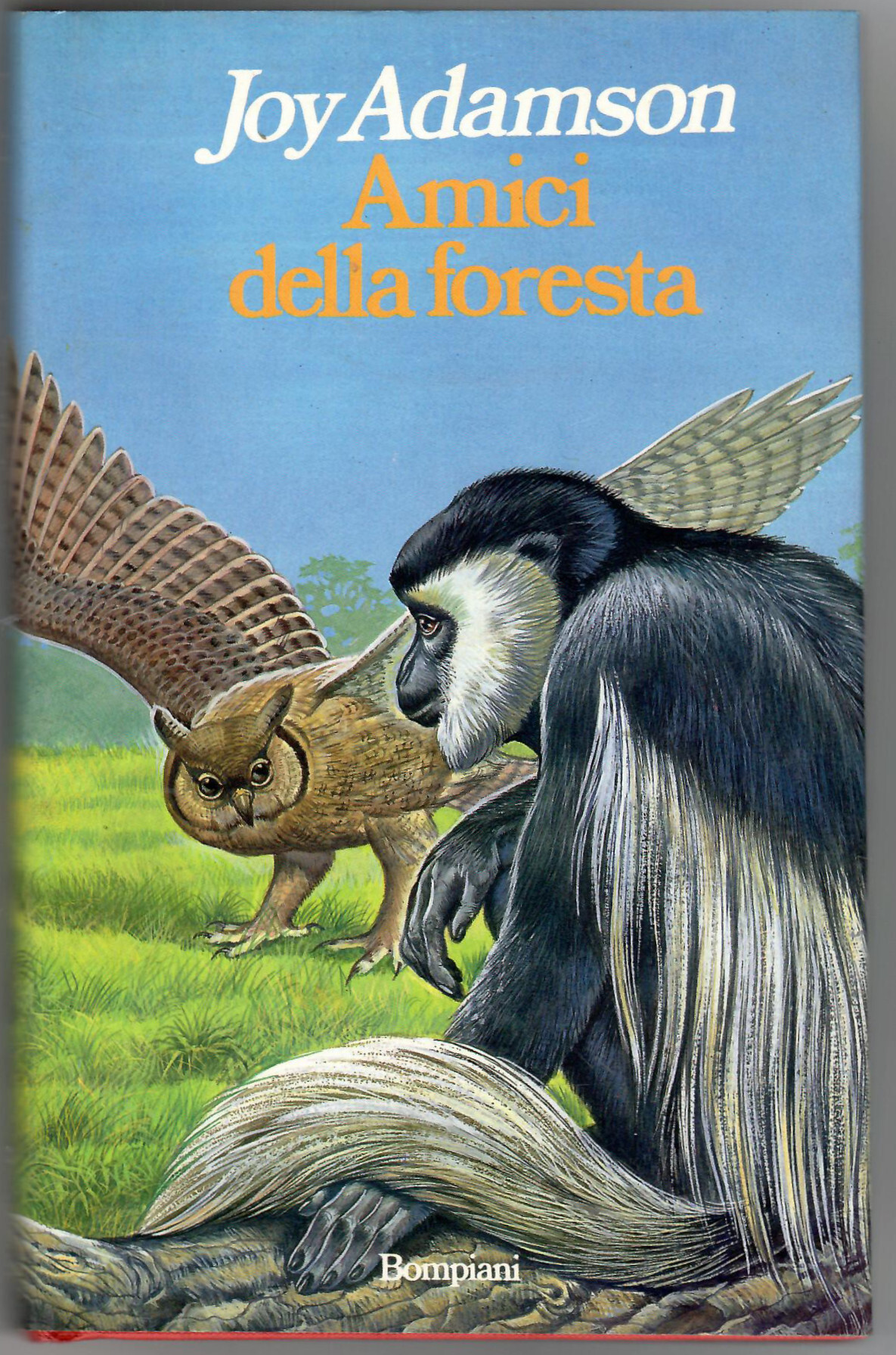 Amici della foresta