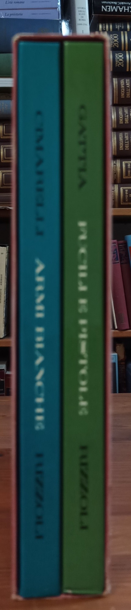 Armi bianche - Fucili e pistole