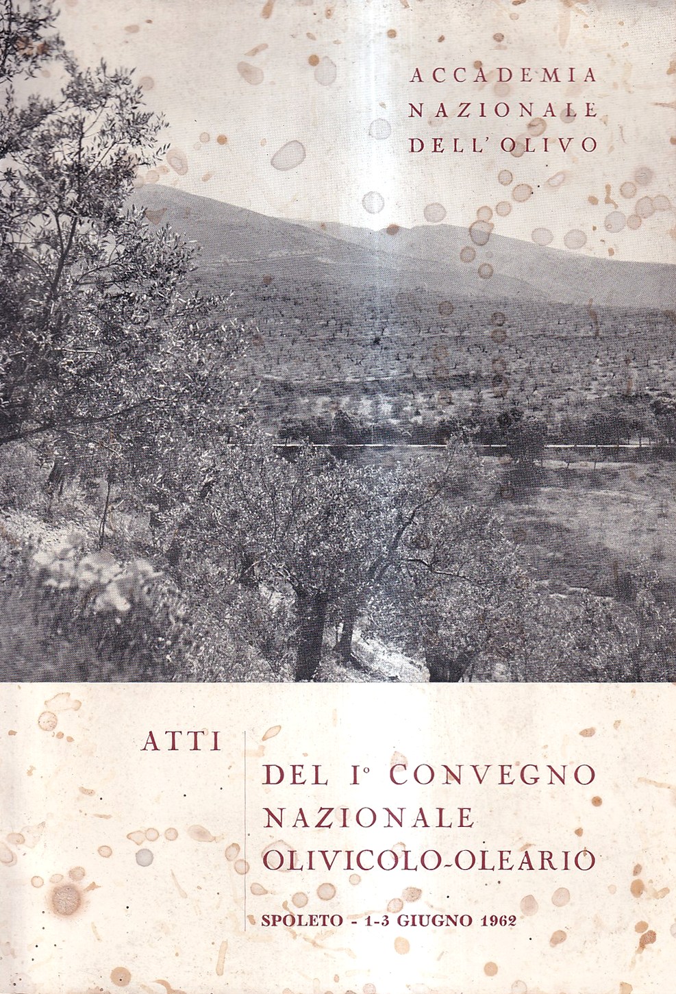 Atti del I° Convegno Nazionale Olivicolo-Oleario. Spoleto, 1-3 giugno 1962