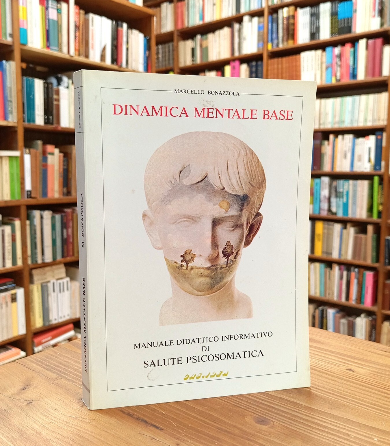 Dinamica mentale base. Manuale didattico informativo di salute psicosomatica