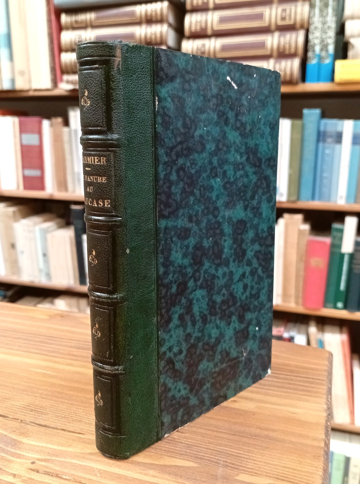 Du Danube au Caucase. Voyages et littérature