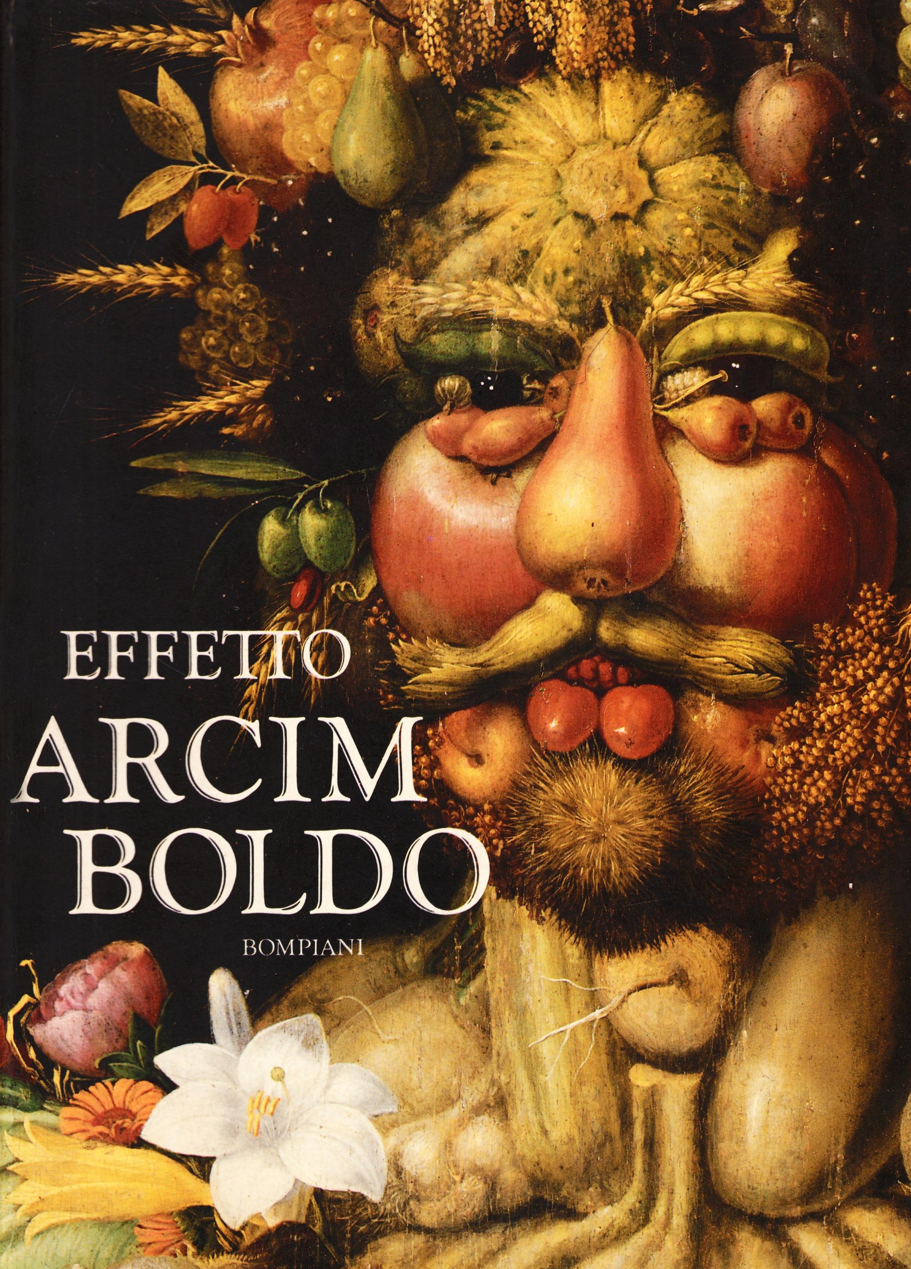 Effetto Arcimboldo. Trasformazioni del volto nel Sedicesimo e nel Ventesimo …