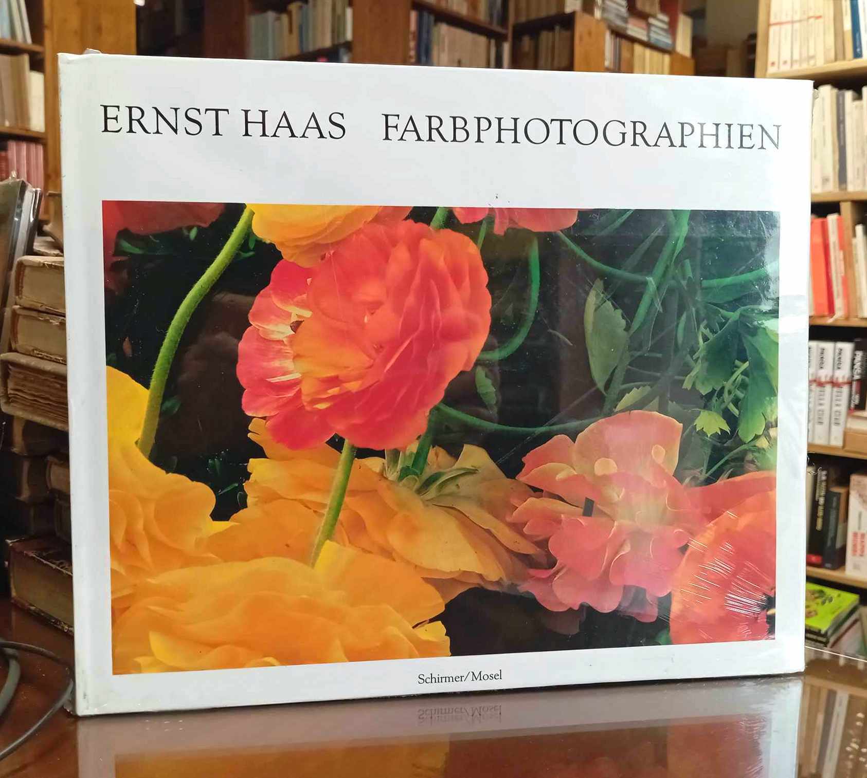 Ernst Haas. Farbphotographien