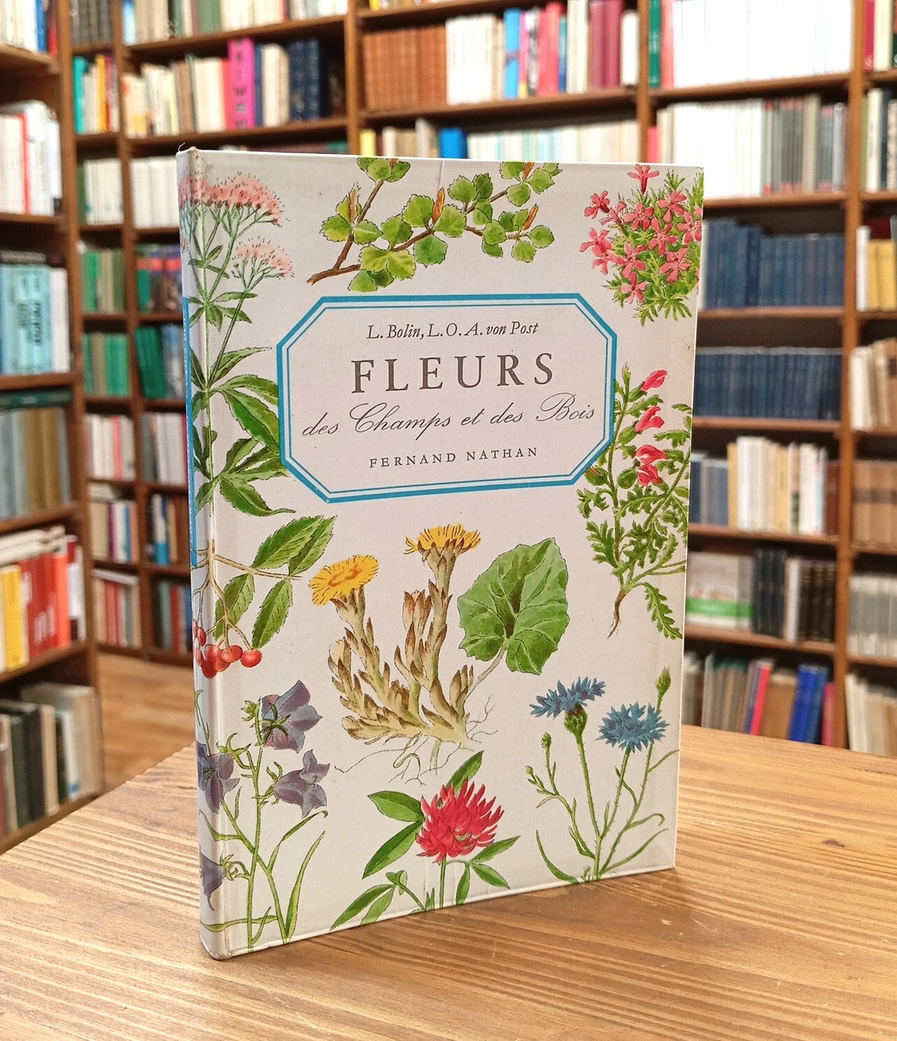 Fleurs des champs et des bois