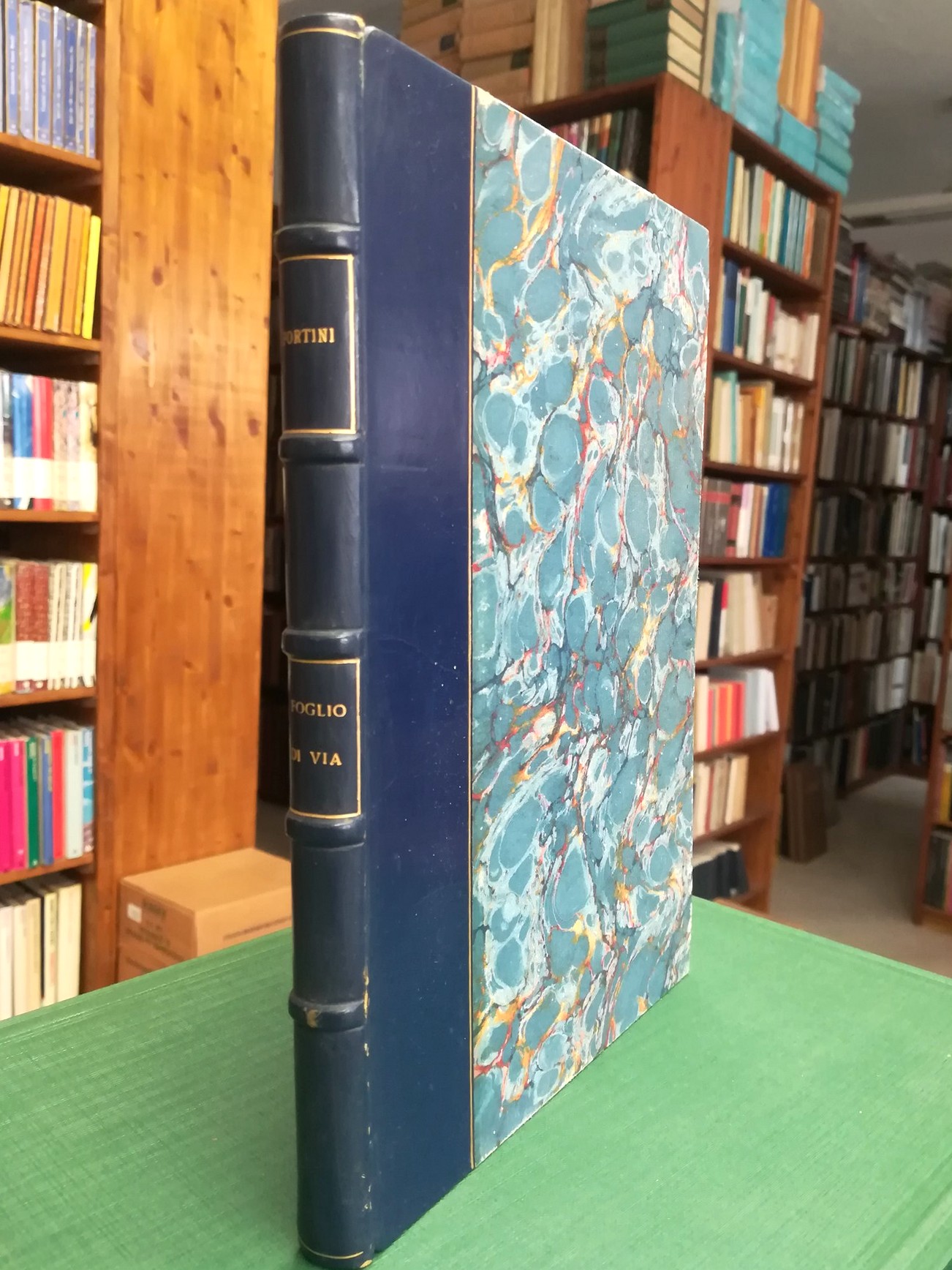 Foglio di via e altri versi