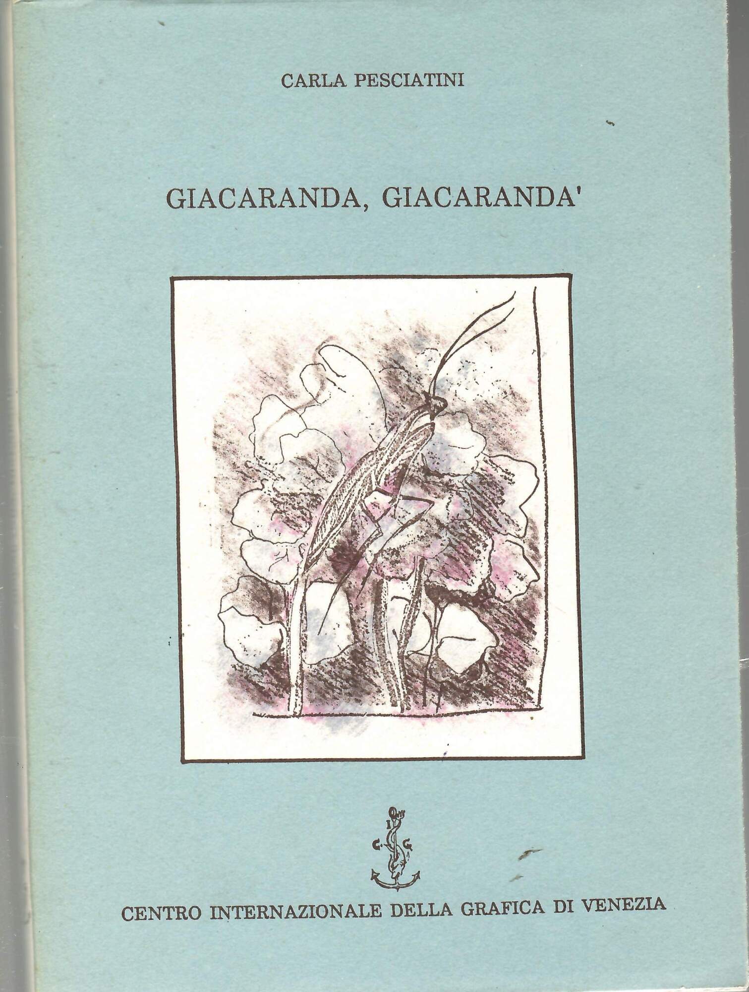 Giacaranda, Giacarandà