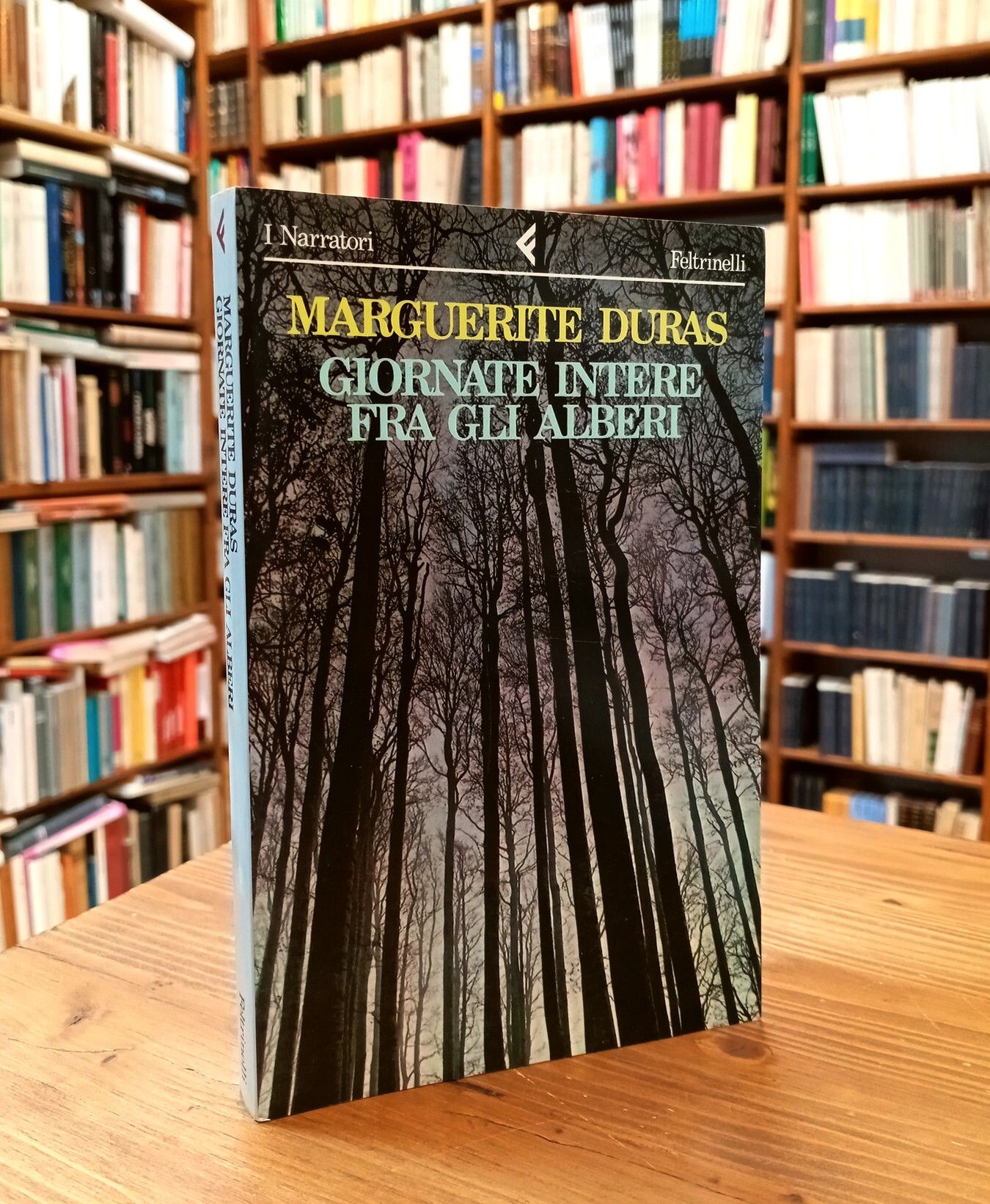 Giornate intere fra gli alberi