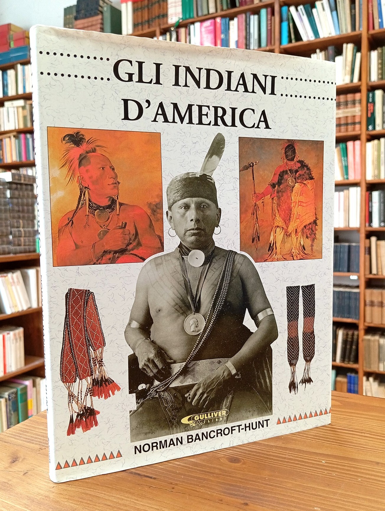 Gli Indiani d'America